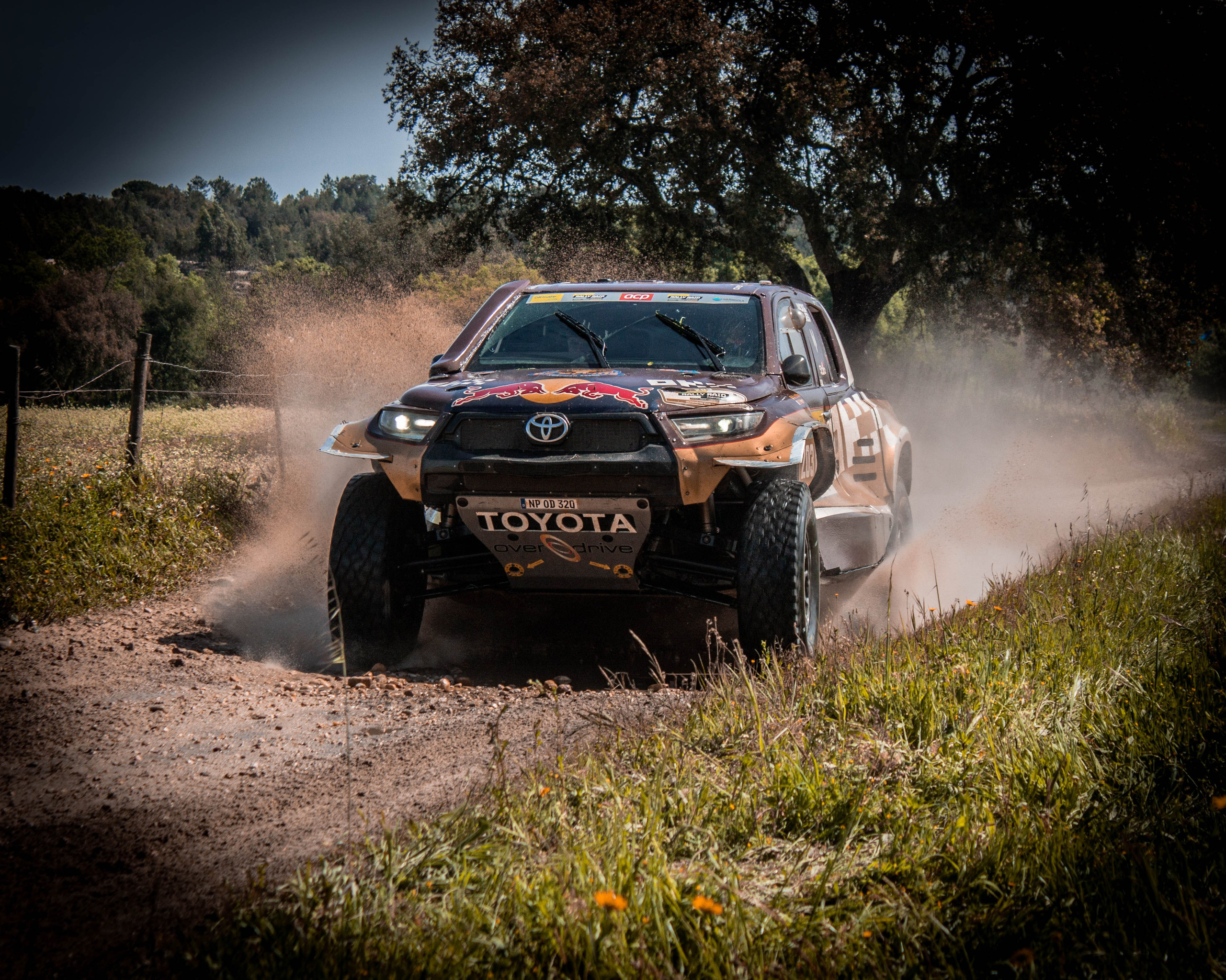 #203 Guillaume De Mevius / Xavier Panseri