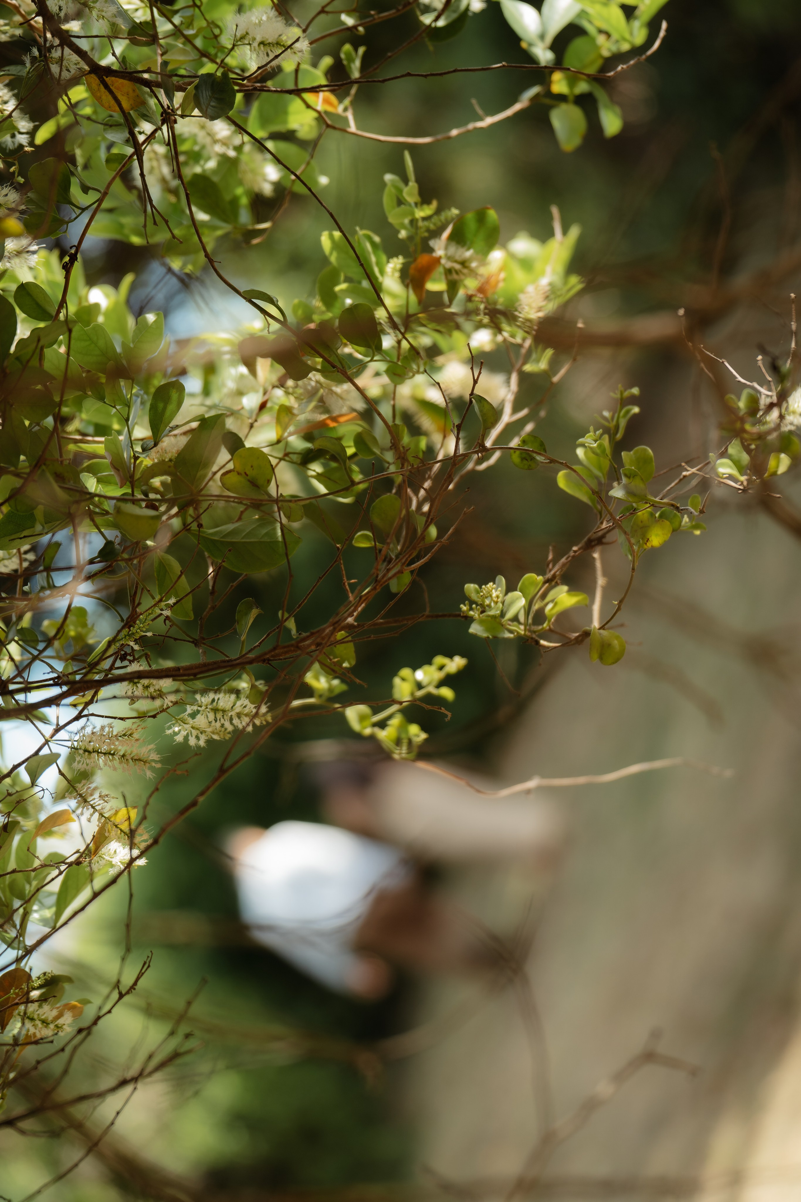 Aldre & Matheus | Guarapari. Lembrar não é só ver. É sentir de novo