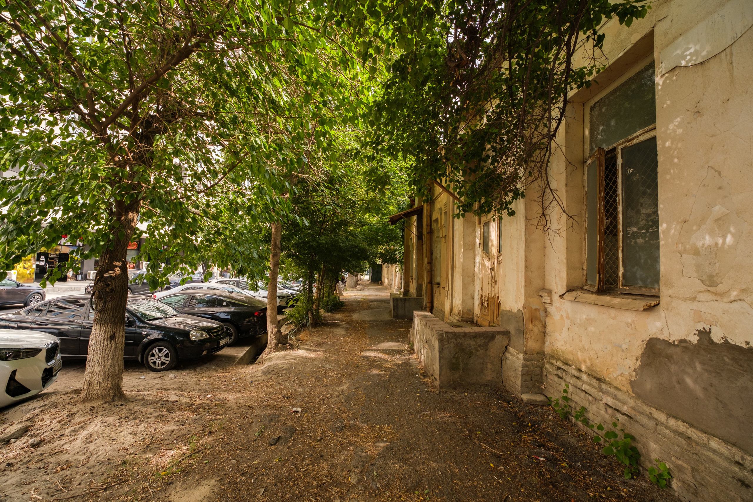 SIGMA 10-18mm DC DN (X-mount). Фотограф Григорий Кравец