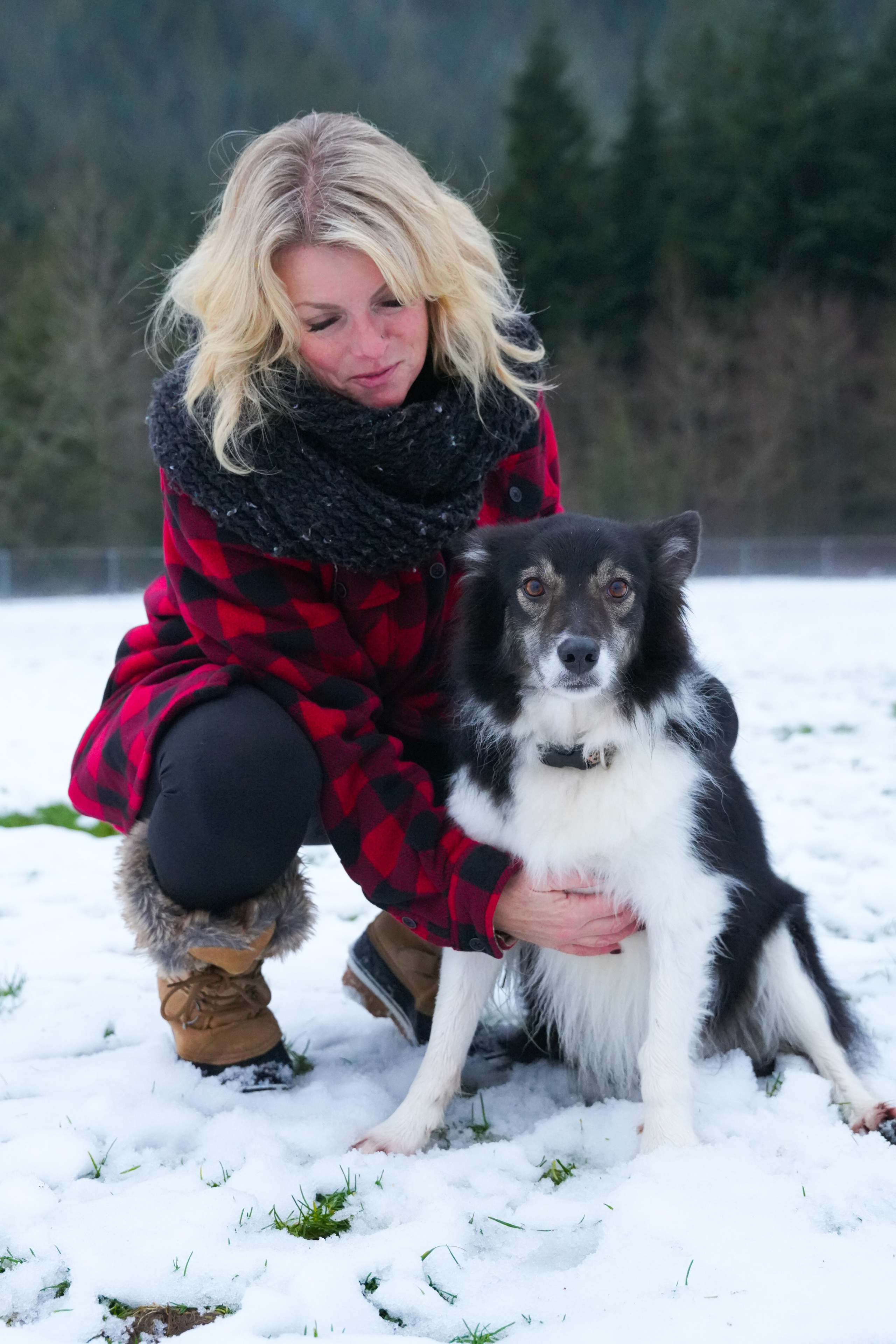 Pets. Shuttergry Photography