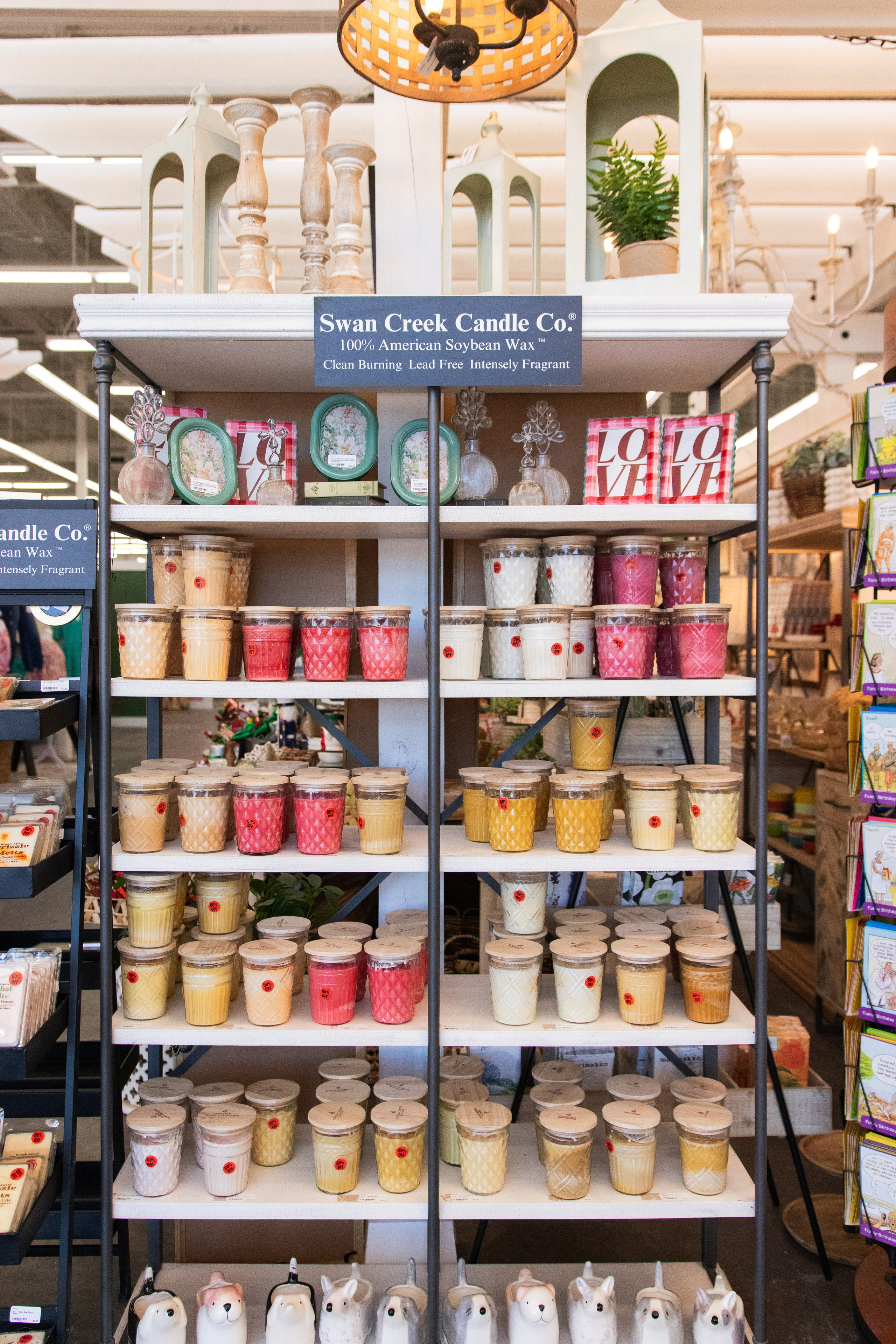 Painted Tree Boutiques winter 2026 retail collection photoshoot in Round Rock