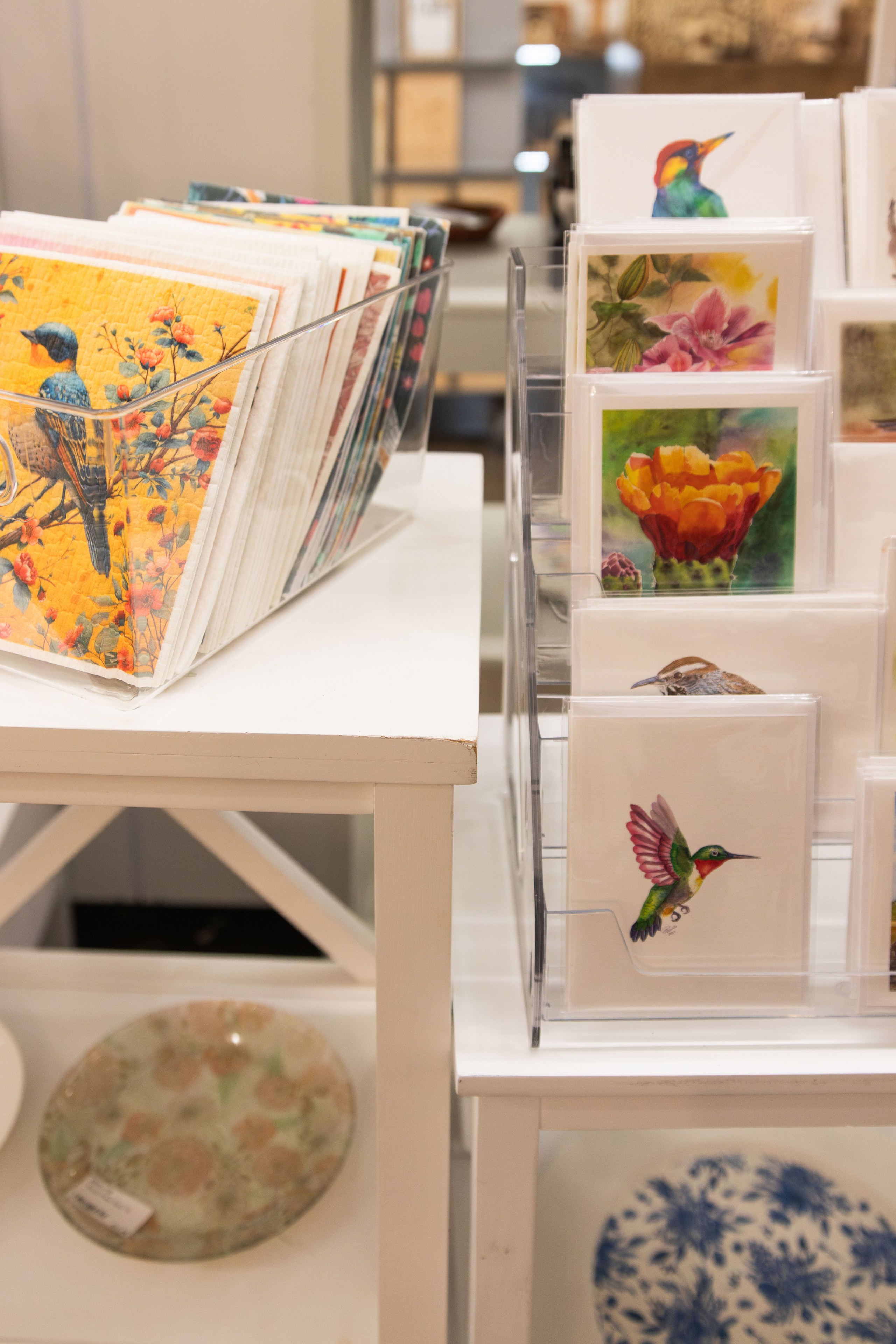 Painted Tree Boutiques Round Rock winter retail photoshoot collection