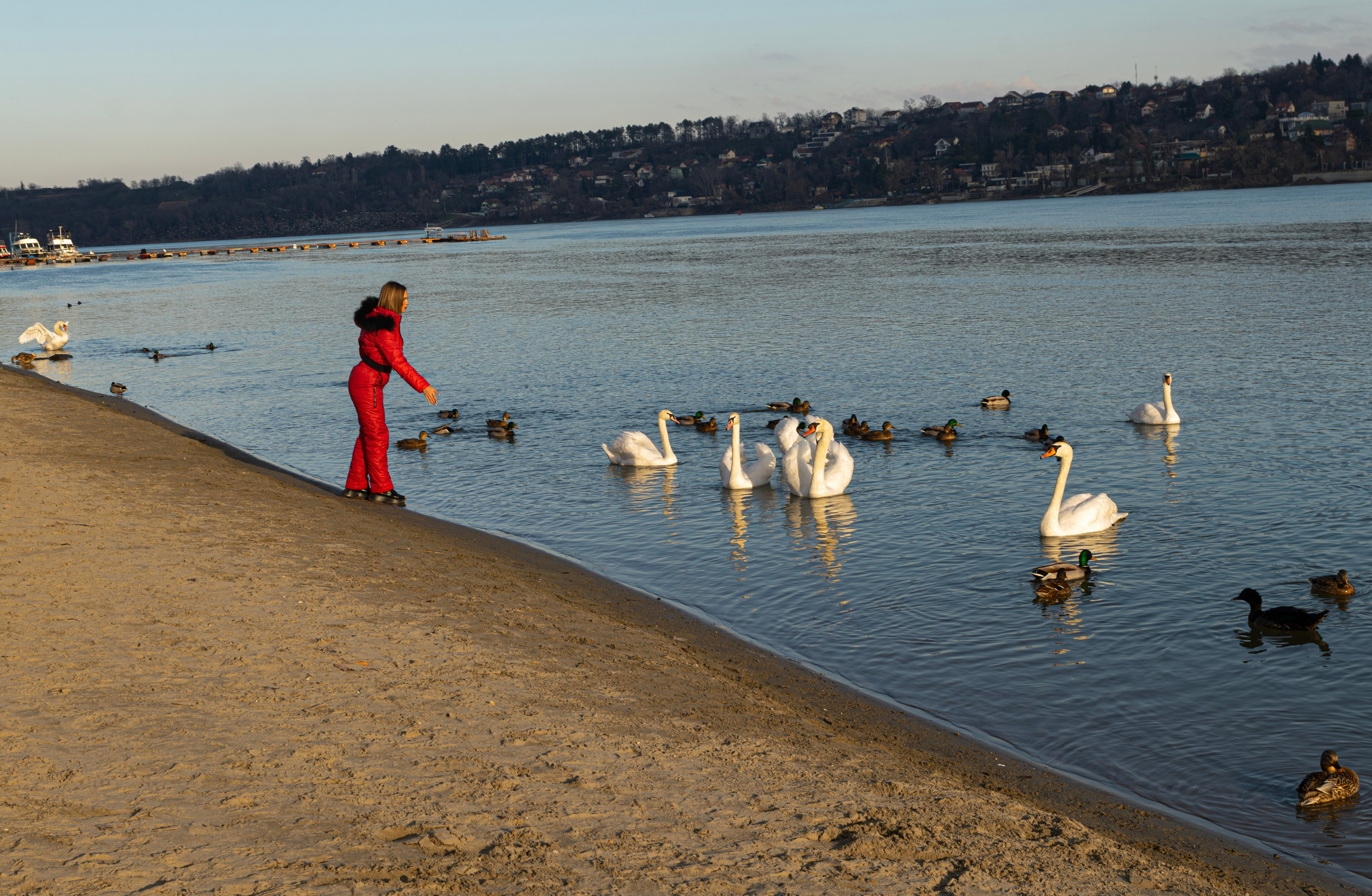 Прогулка с фотографом по Нови Саду, Сербия. Виктория Федосеенко, фотограф в Сербии