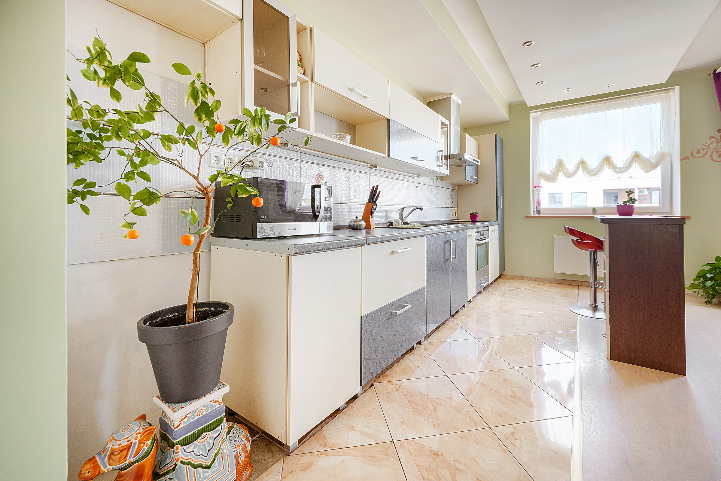 Perkūnkemio g. Elina Sapiega fotografė Vilniuje