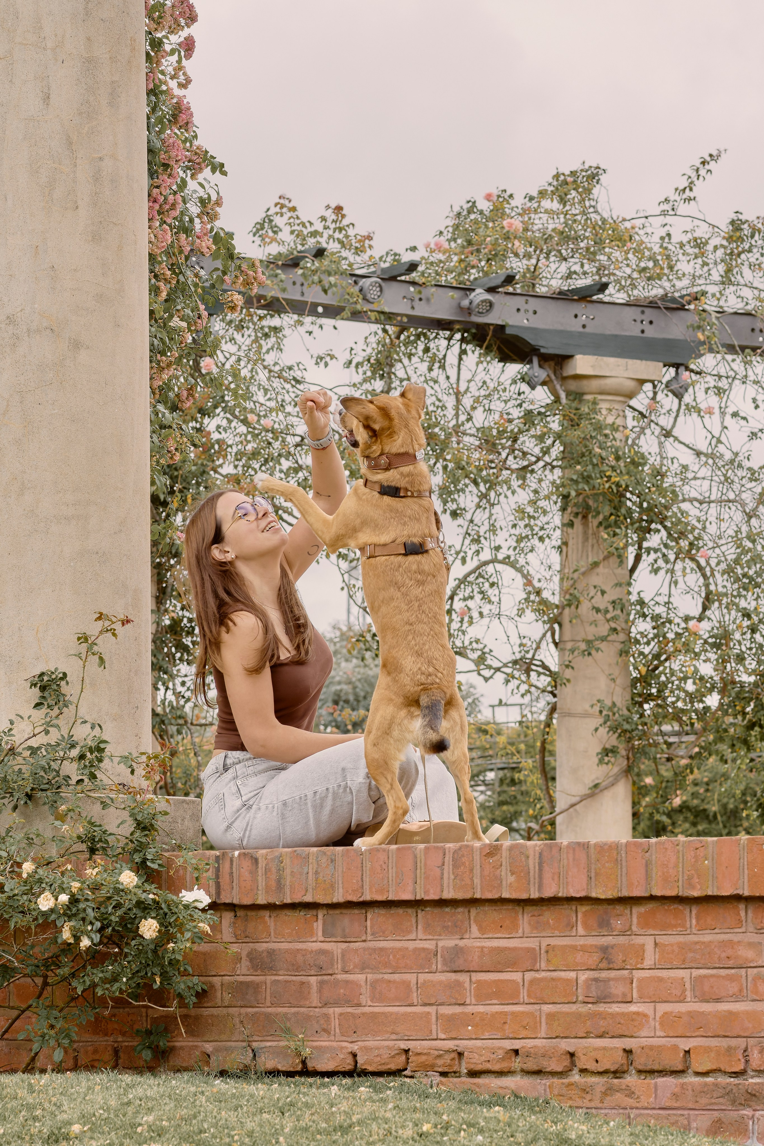 Tatiana & Hugo. Valssy – Fotografía de mascotas en Uruguay. Retratos profesionales de perros y gatos