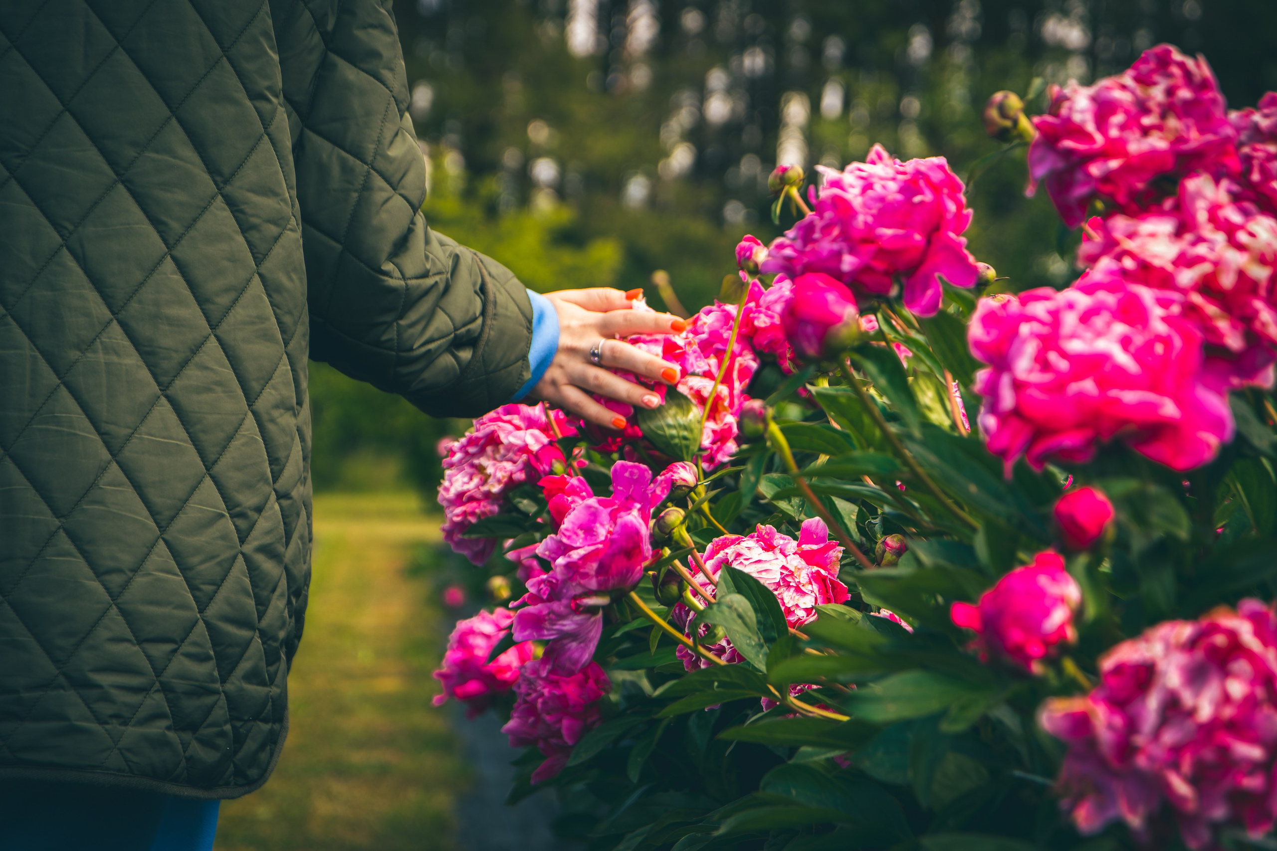 Saaremaa, reis (Nika A.). Nebula 25 — Fotod teie hingele