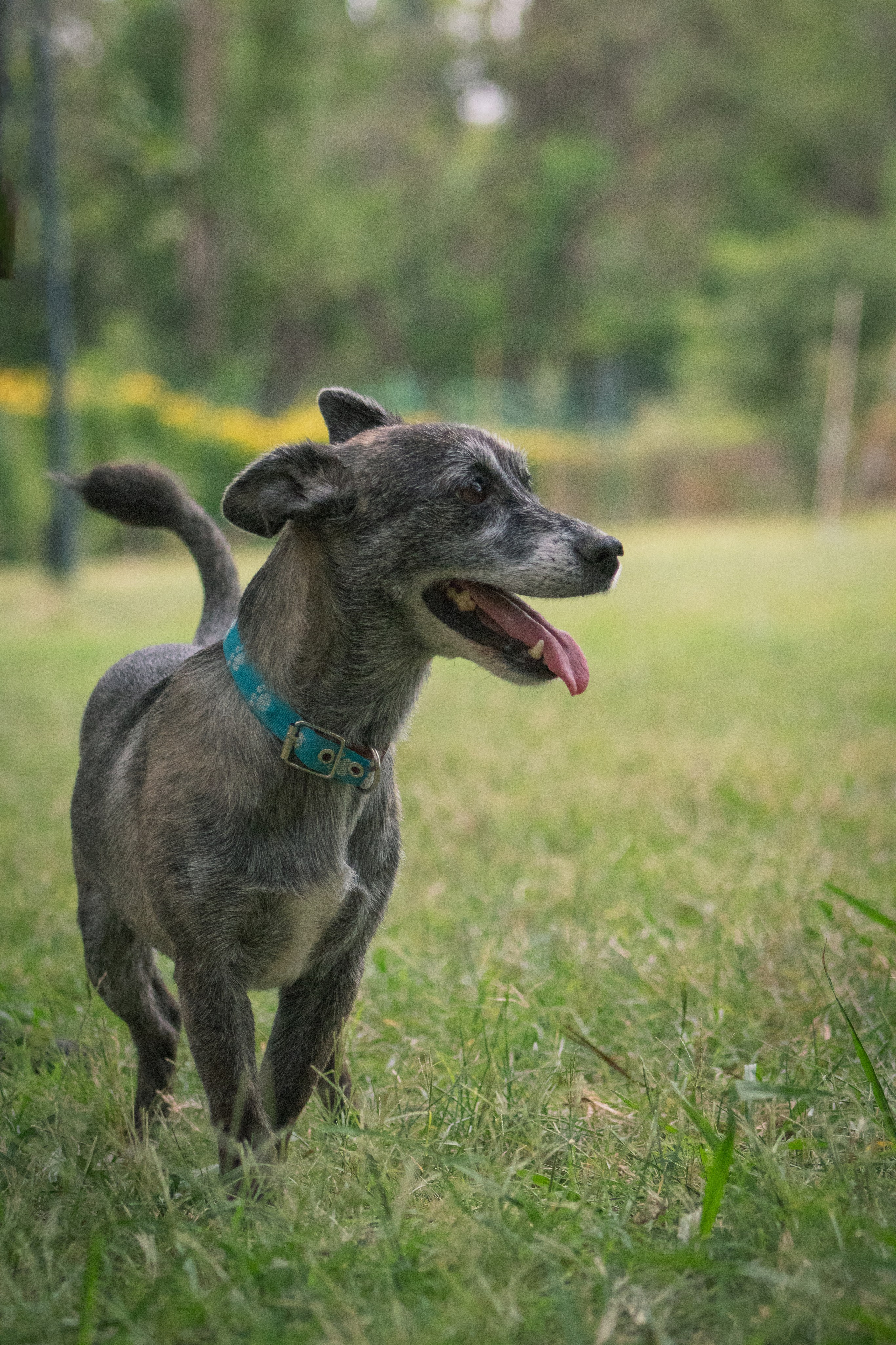 Maya & Pablo. Fotógrafo en Mendoza Alexander Safonov