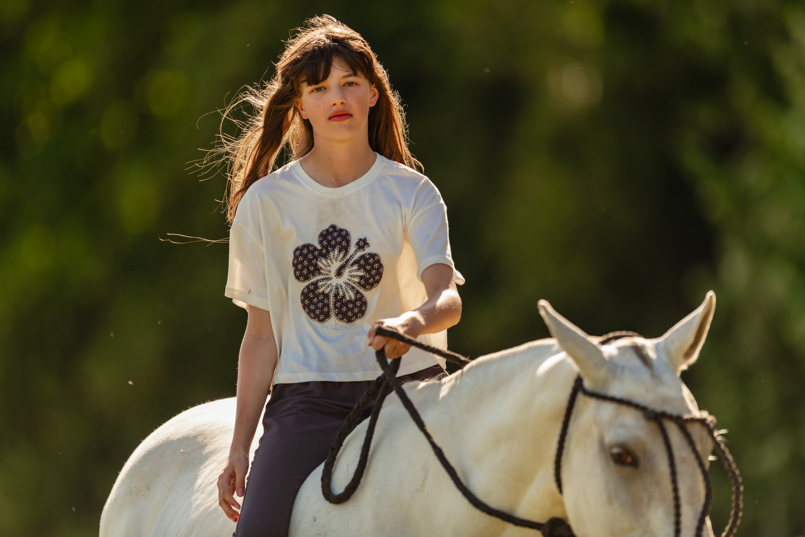 Photo shoot with horses