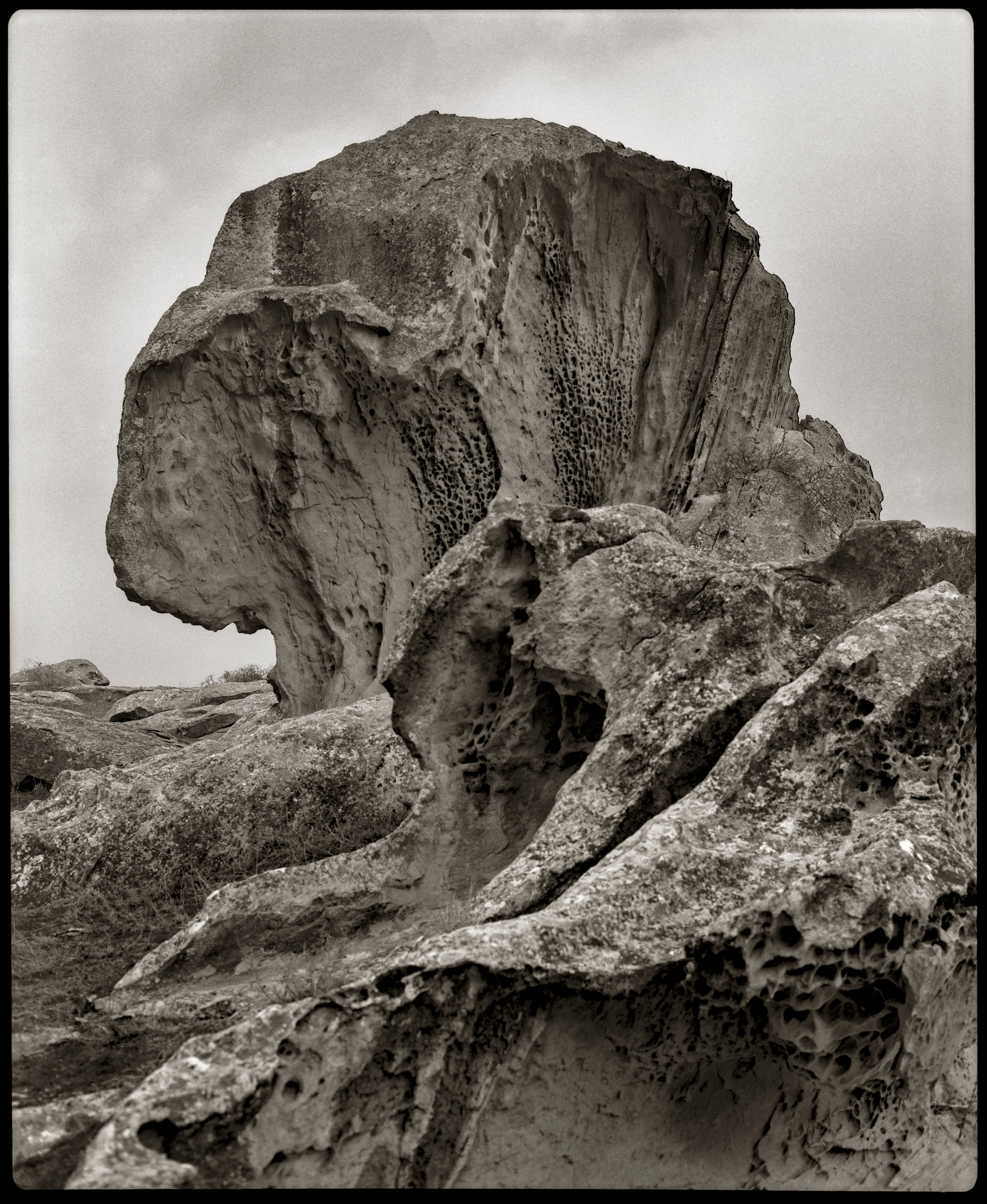 NATURE. Www.sananaleskerov.com