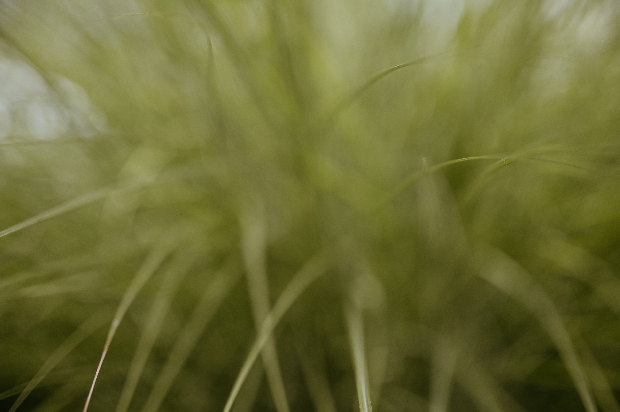 Cornel si Elisa. Valentin Melen - fotograf de nunta 🤍