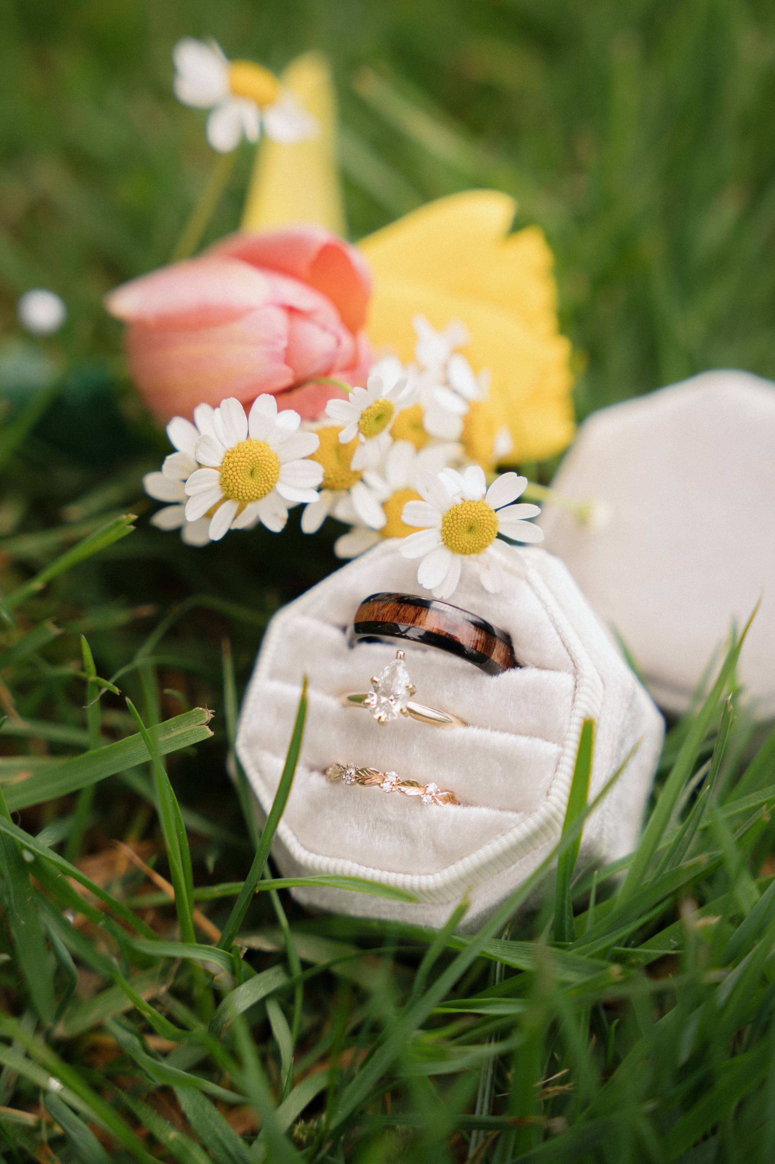 Katlyn and Josiah | Full Wedding day. Photographer in Washington Sophia D