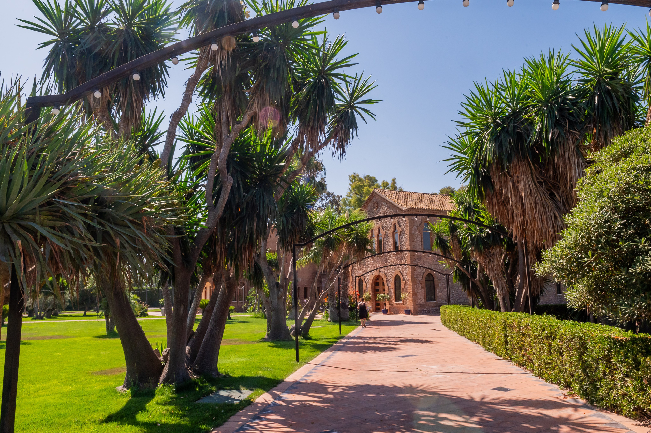 Jardín de palmeras de Torre la Mina