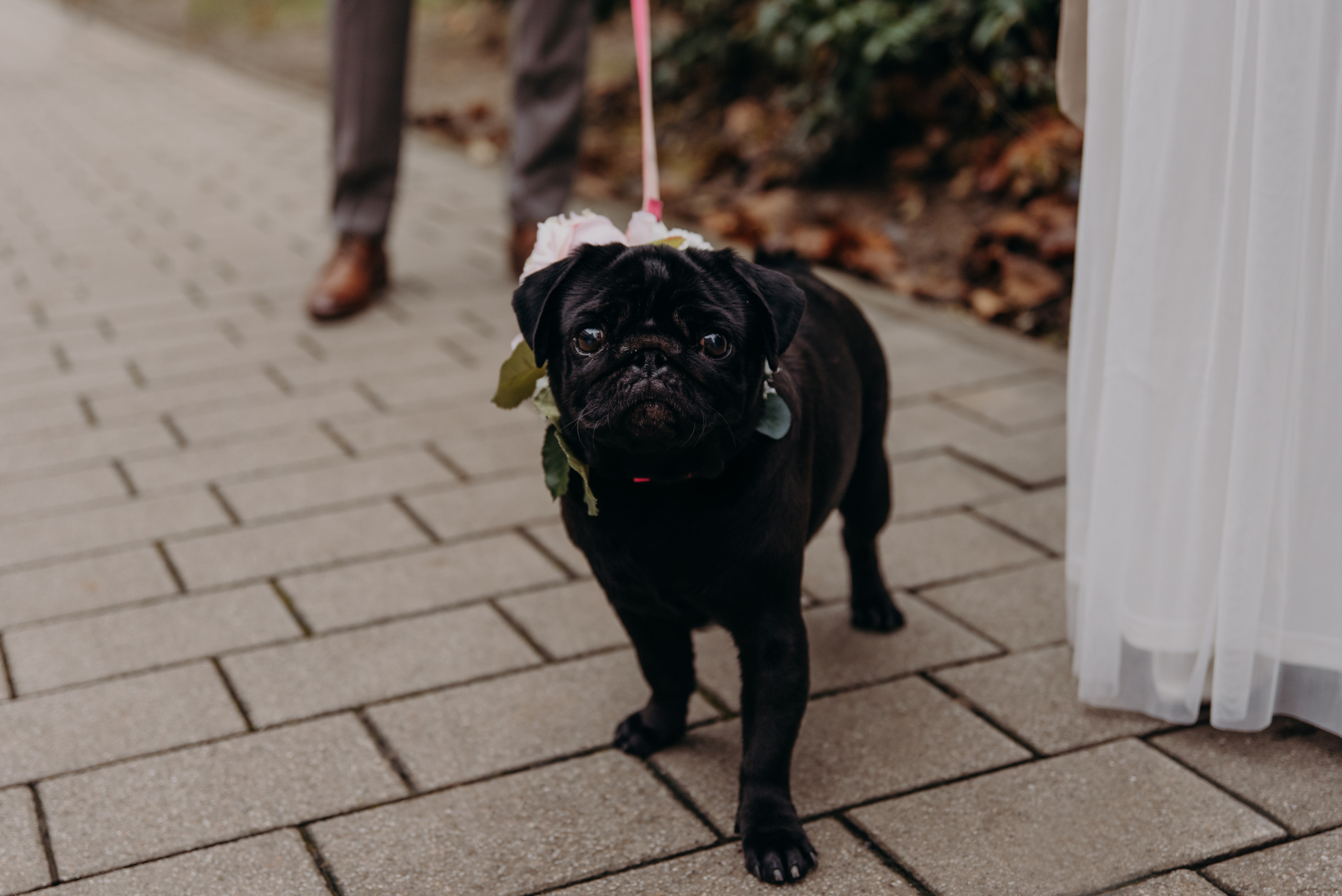 Hochzeitsbilder in Hofheim am Taunus. Fotografin in Hanau|Frankfurt|Mainz|Iryna Korenkova