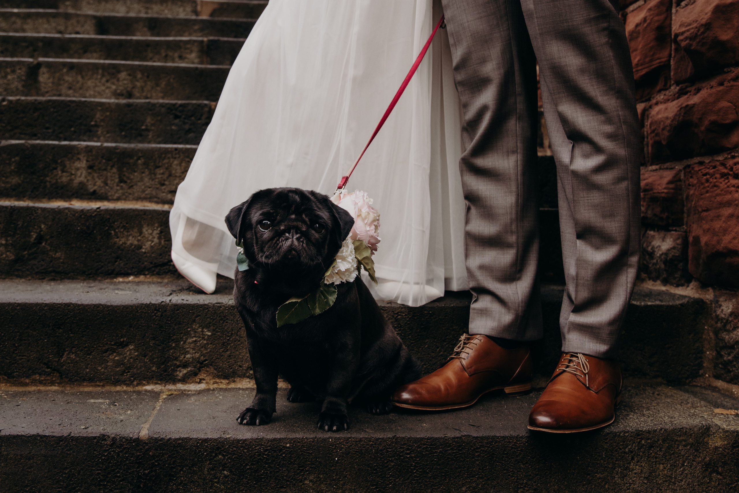 Hochzeitsbilder in Hofheim am Taunus. Fotografin in Hanau|Frankfurt|Mainz|Iryna Korenkova