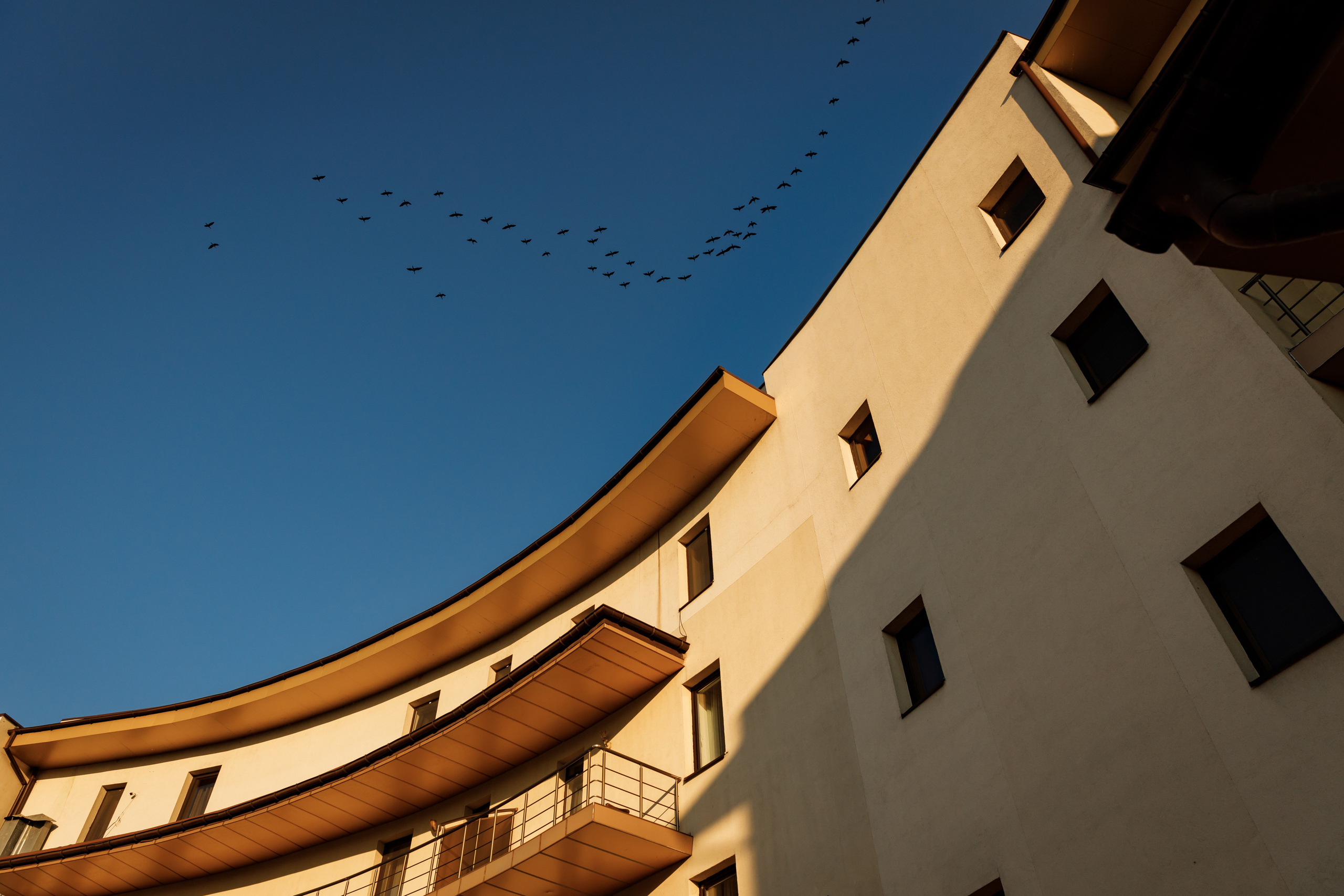 Свадьба FEFE LOVE — Свадебный фотограф Запорожье Photoduet Sunday. Свадебный фотограф в Запорожье Photoduet Sunday