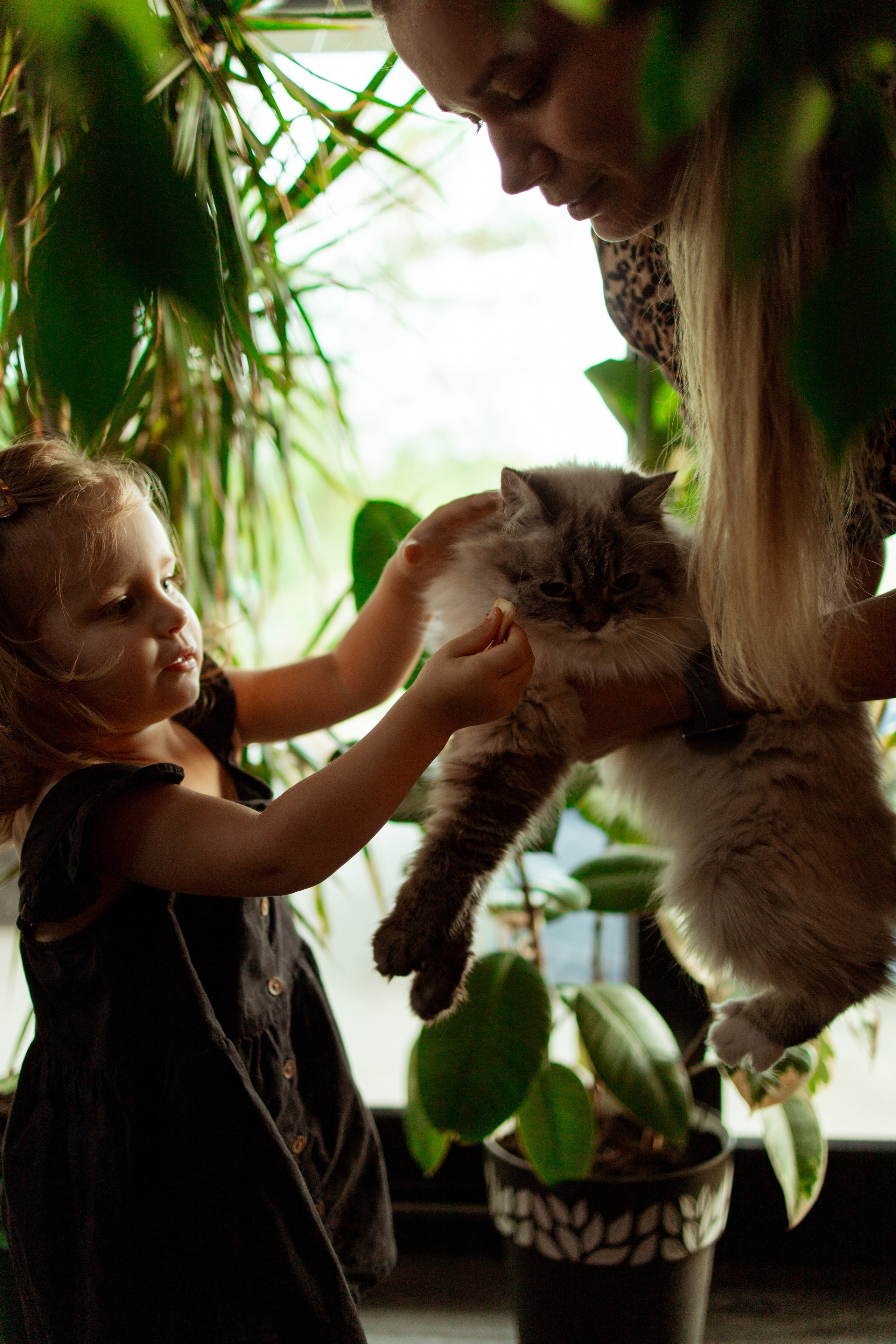 Family. Lifestyle photographer Vancouver Island