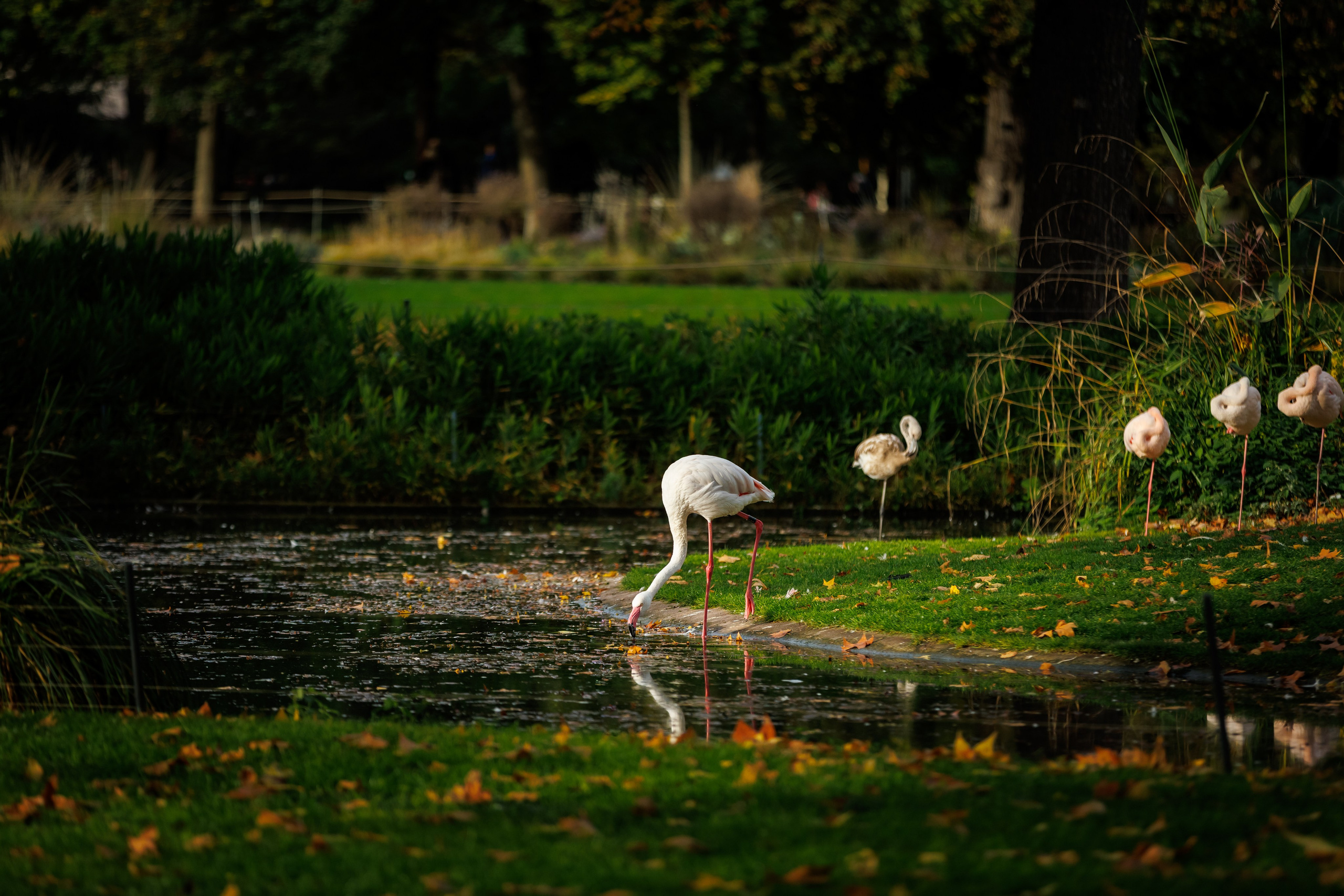 Brez Production – Reportagefotografie & Videoproduktion in Baden-Württemberg