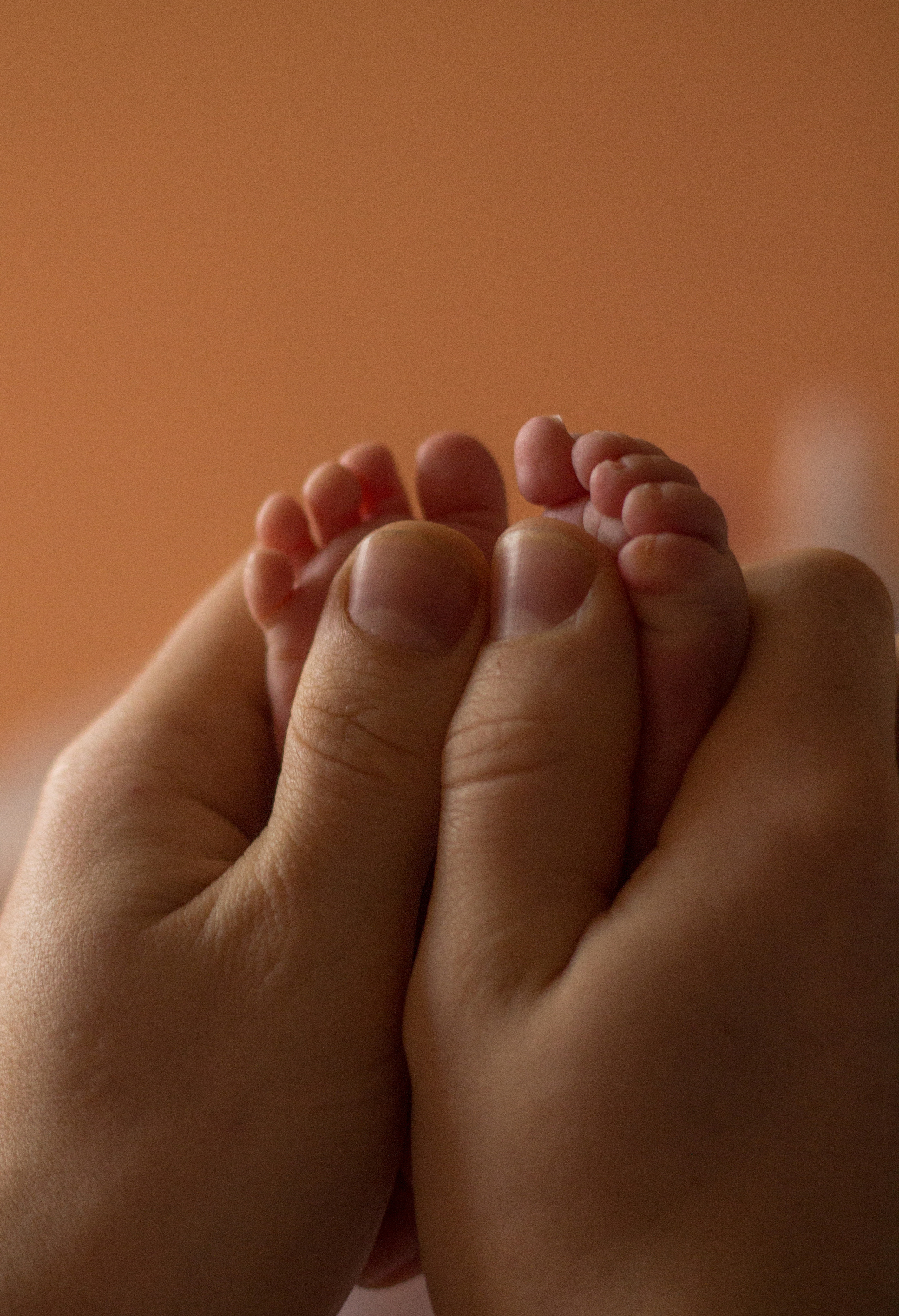 New born. Your Photoghraph