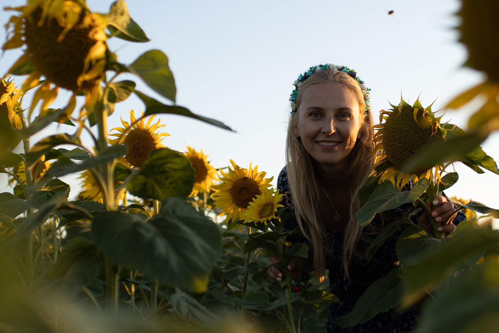 Oksana w słoneczniku. Fotografia dziecięca i rodzinna. Sesje portretowe - Wieluń