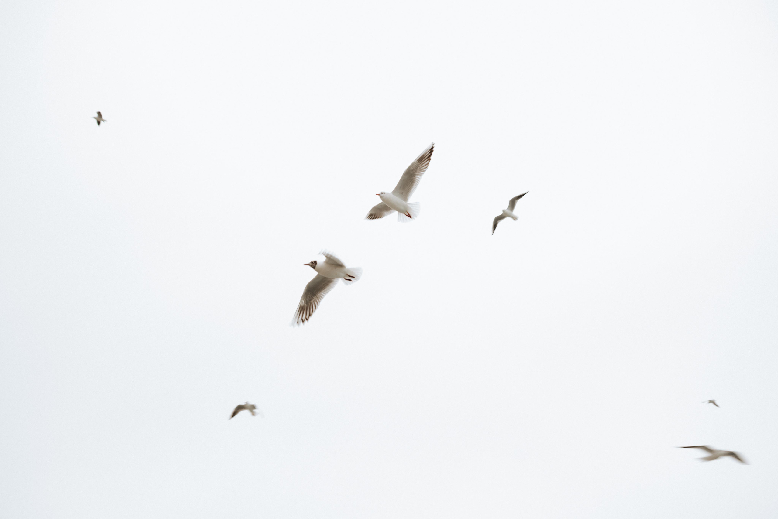 Любов і Море, Одеса. Весільний та сімейний фотограф в Києві та області Анна Дєдова