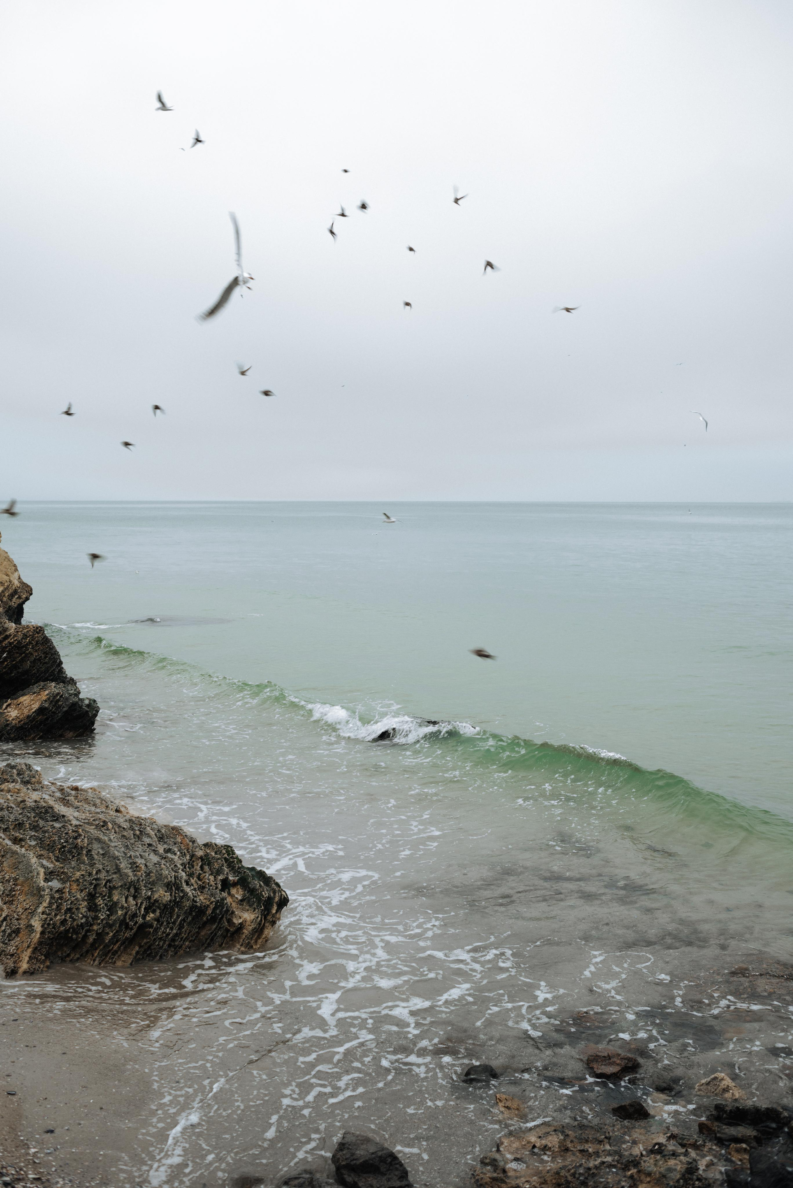 Любов і Море, Одеса. Весільний та сімейний фотограф в Києві та області Анна Дєдова