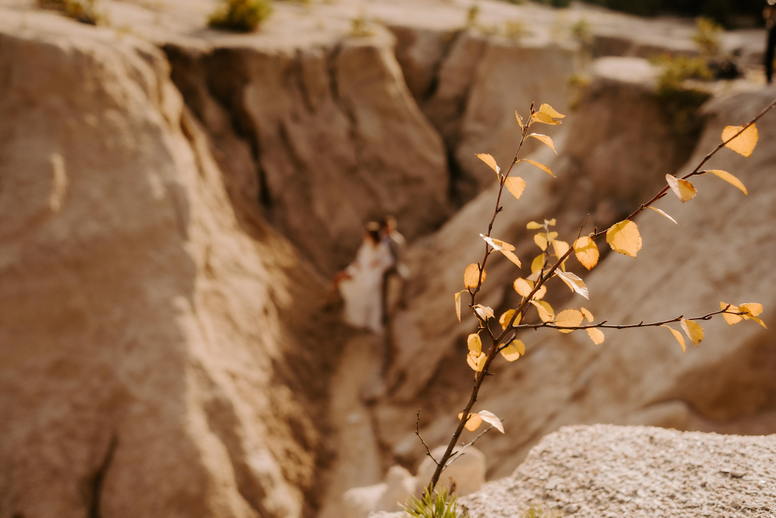 Бохо весілля в карєрі. Весільний та сімейний фотограф в Києві та області Анна Дєдова