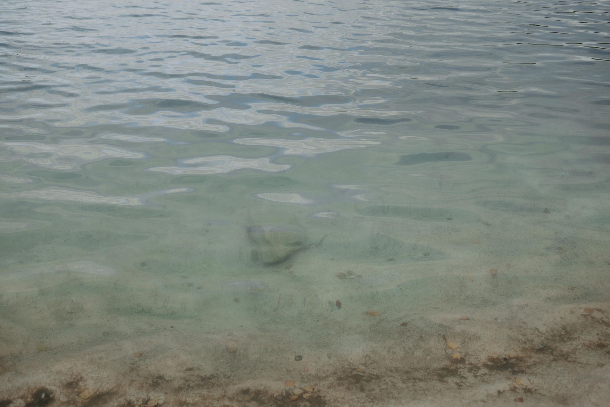 Бохо весілля в карєрі. Весільний та сімейний фотограф в Києві та області Анна Дєдова