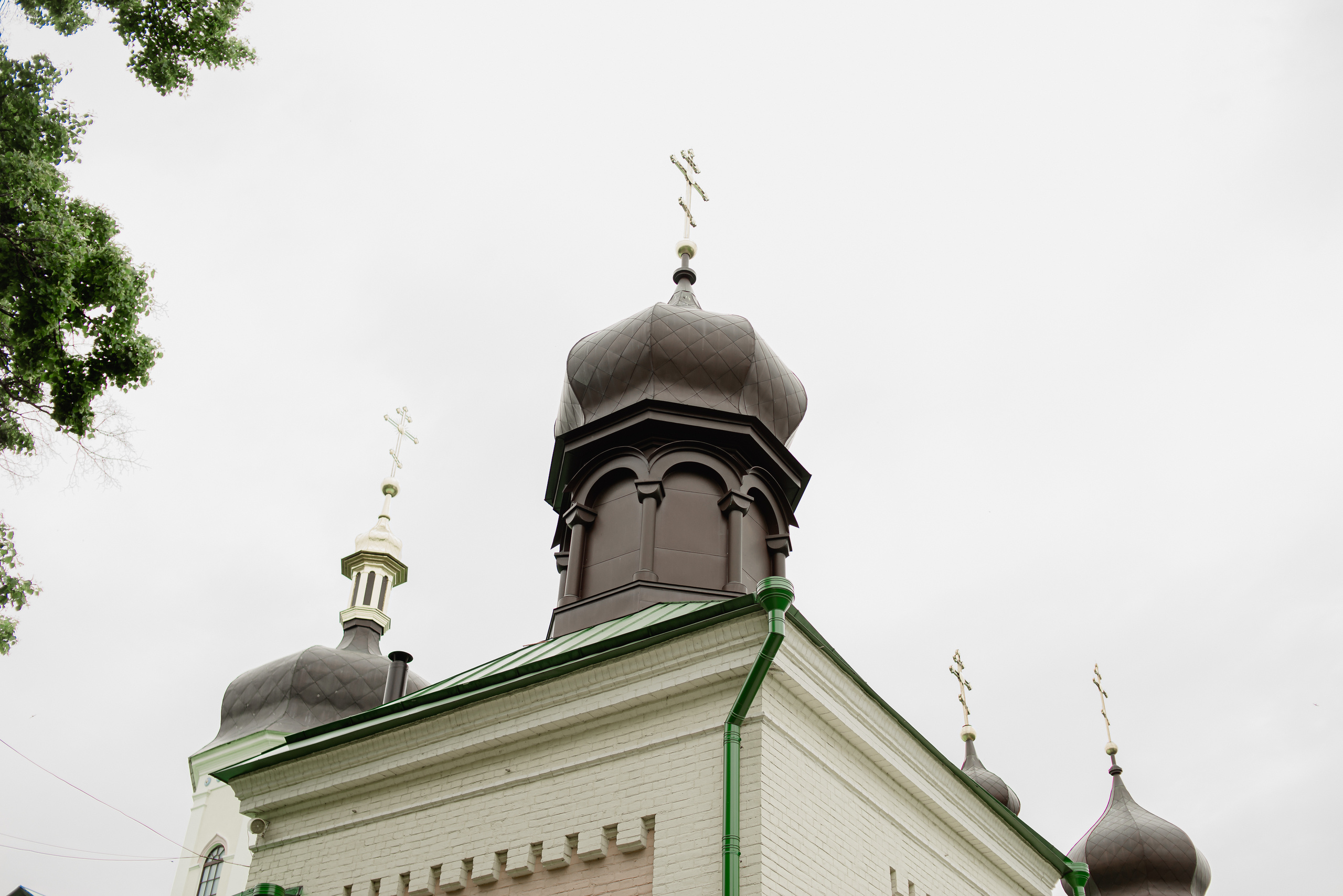 Нога в ногу по дорозі кохання, Ботсад в Києві. Весільний та сімейний фотограф в Києві та області Анна Дєдова