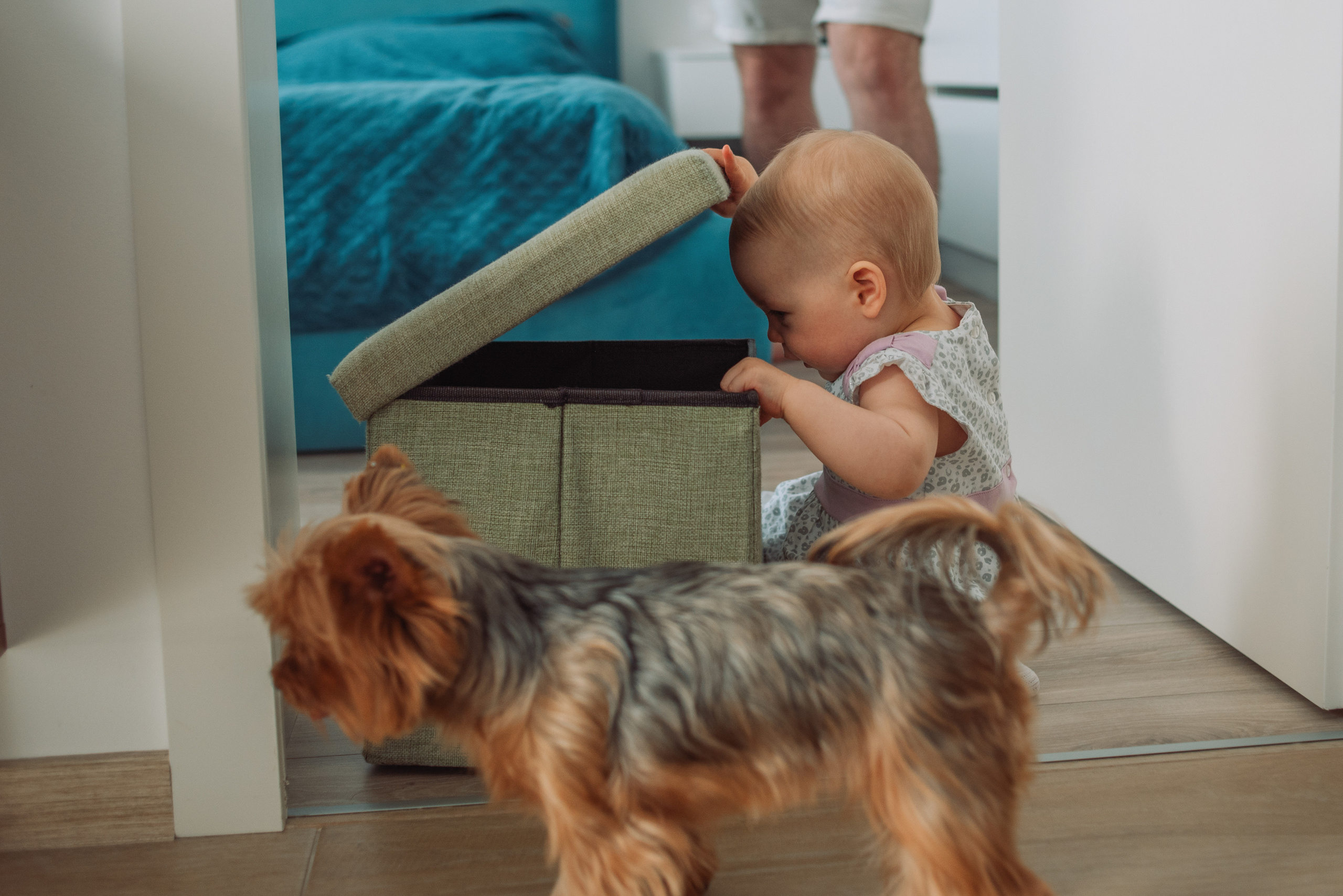 Фотосъемка дома. Татьяна Малышева — семейный фотограф и видеограф в Валенсии, Испания