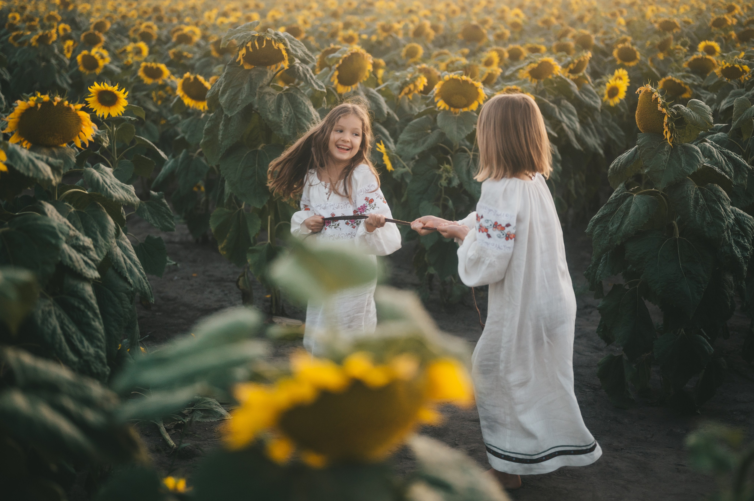 Sunflower field. Татьяна Малышева — семейный фотограф и видеограф в Валенсии, Испания