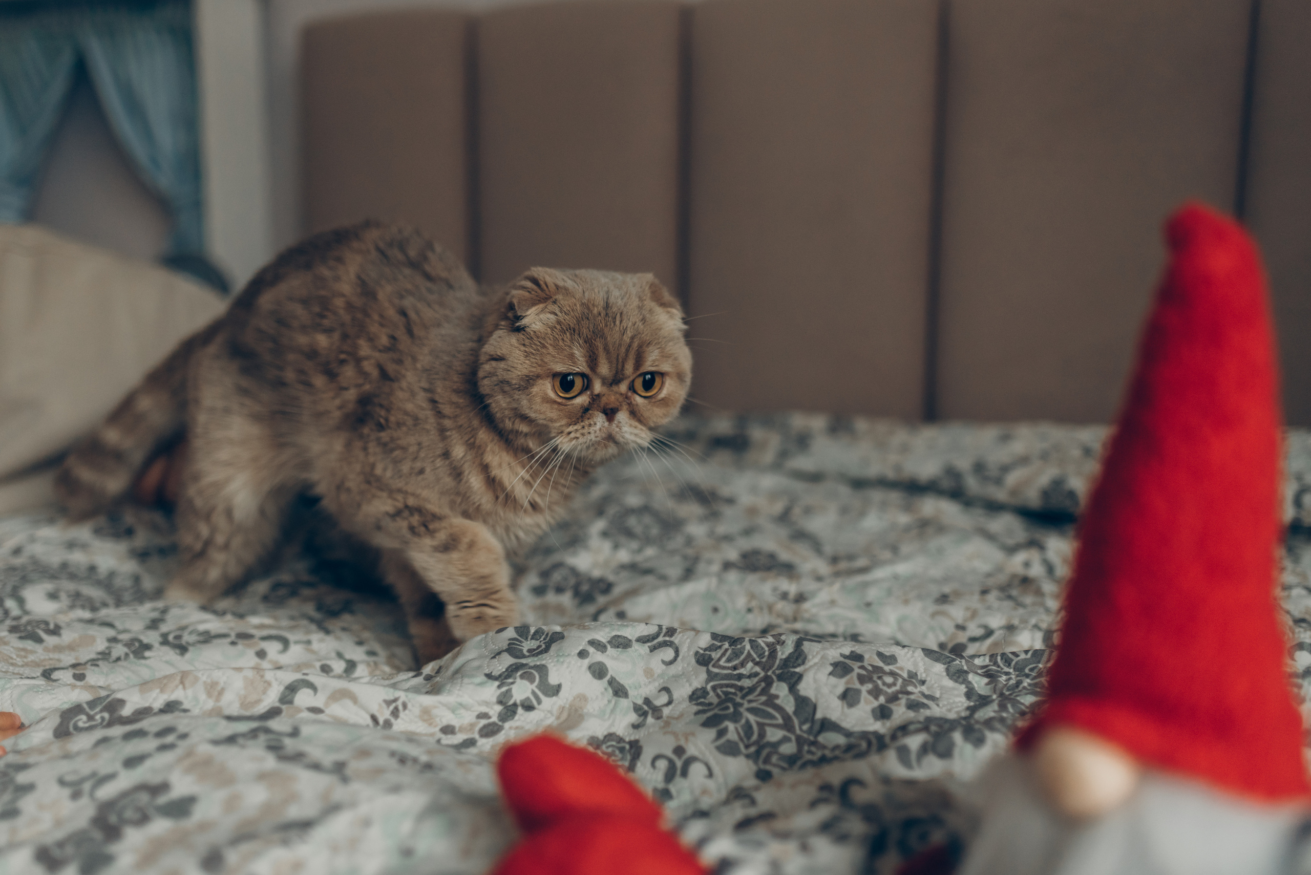 Andrii, Natalia and Mia. Татьяна Малышева — семейный фотограф и видеограф в Валенсии, Испания