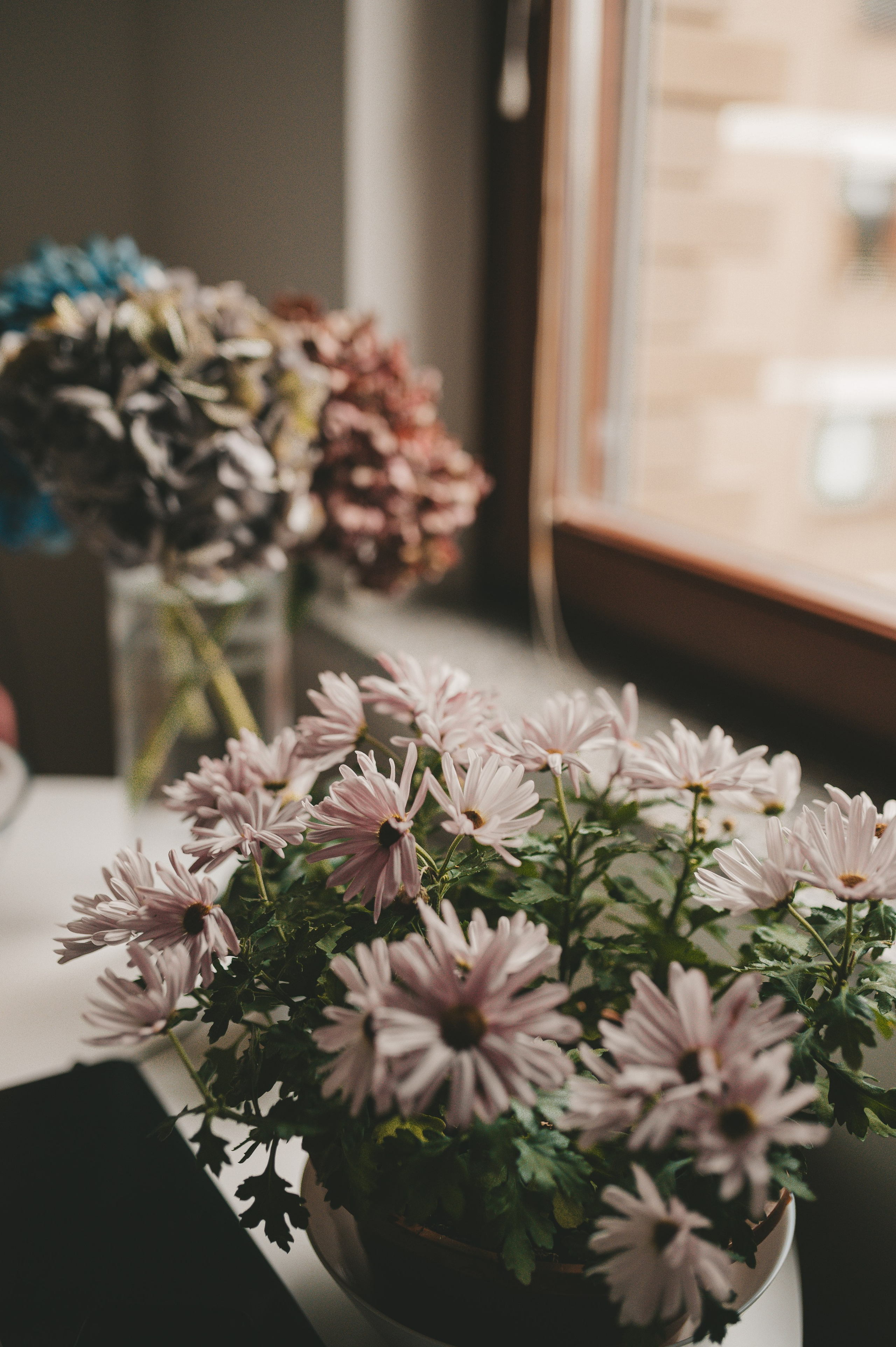 Segiy, Nastya & Dima. Тетяна Малишева - сімейний фотограф і відеограф у Валенсії, Іспанія