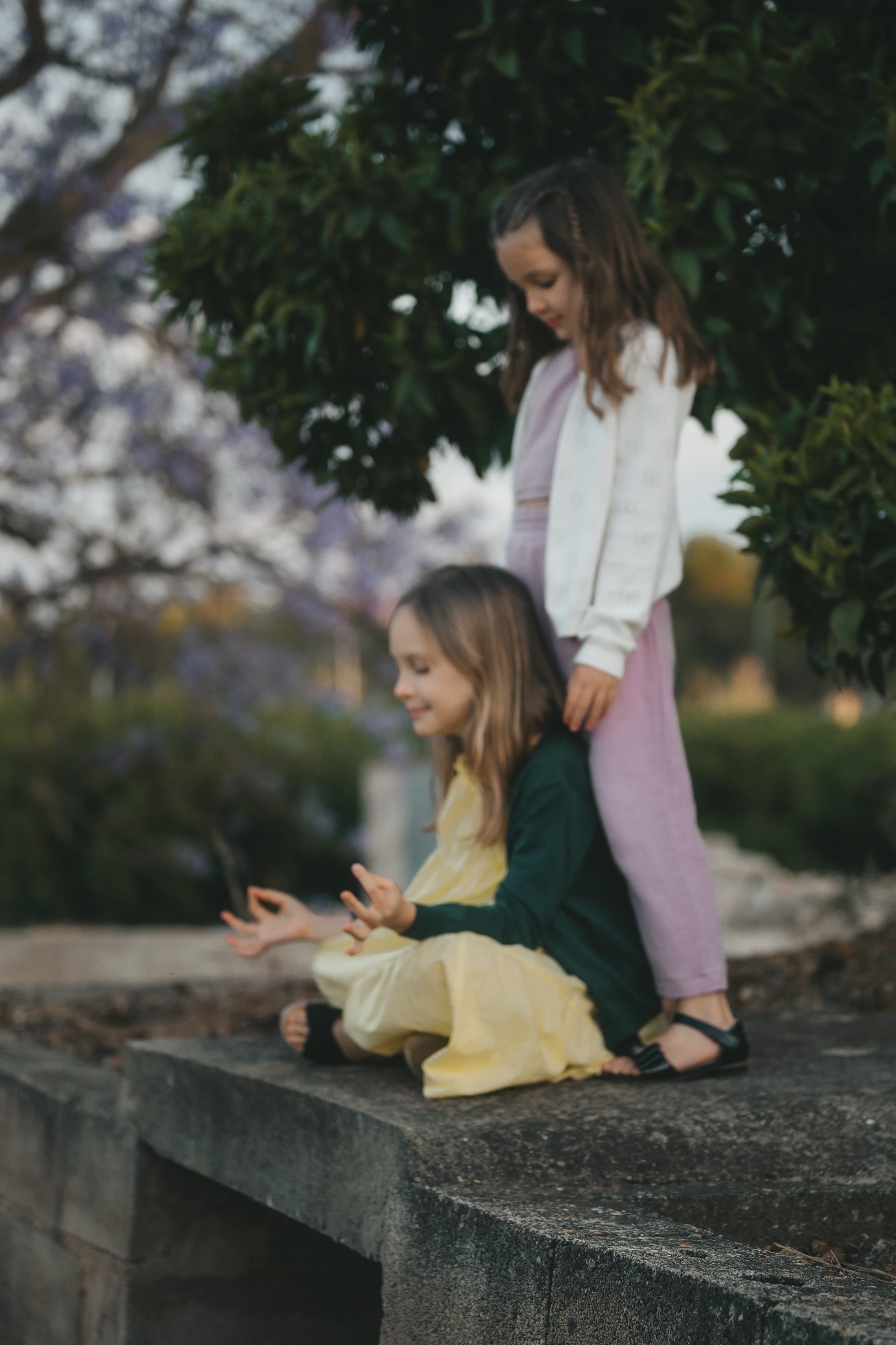 Jacaranda flowers. Tatiana Malysheva — family photographer and videographer in Valencia, Spain