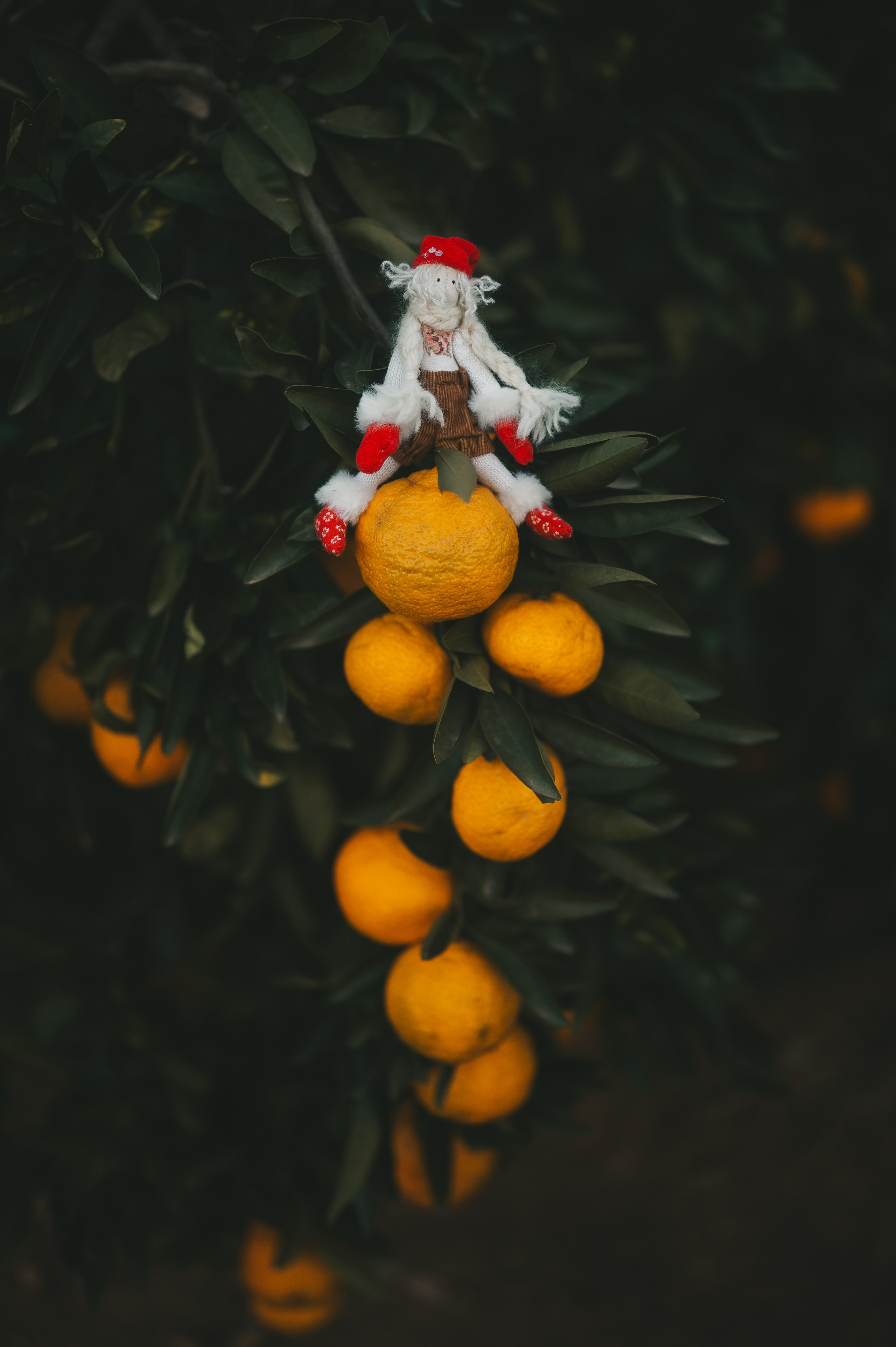 Tangerine Paradise. Тетяна Малишева - сімейний фотограф і відеограф у Валенсії, Іспанія