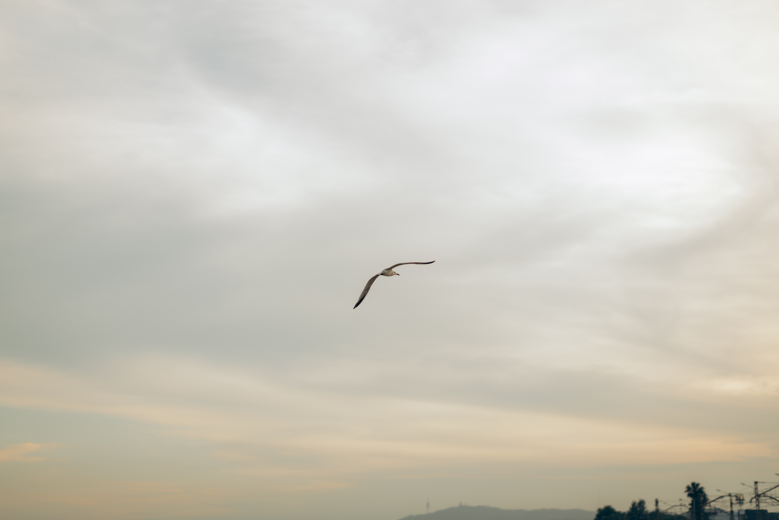 Lovestory. Татьяна Малышева — семейный фотограф и видеограф в Валенсии, Испания