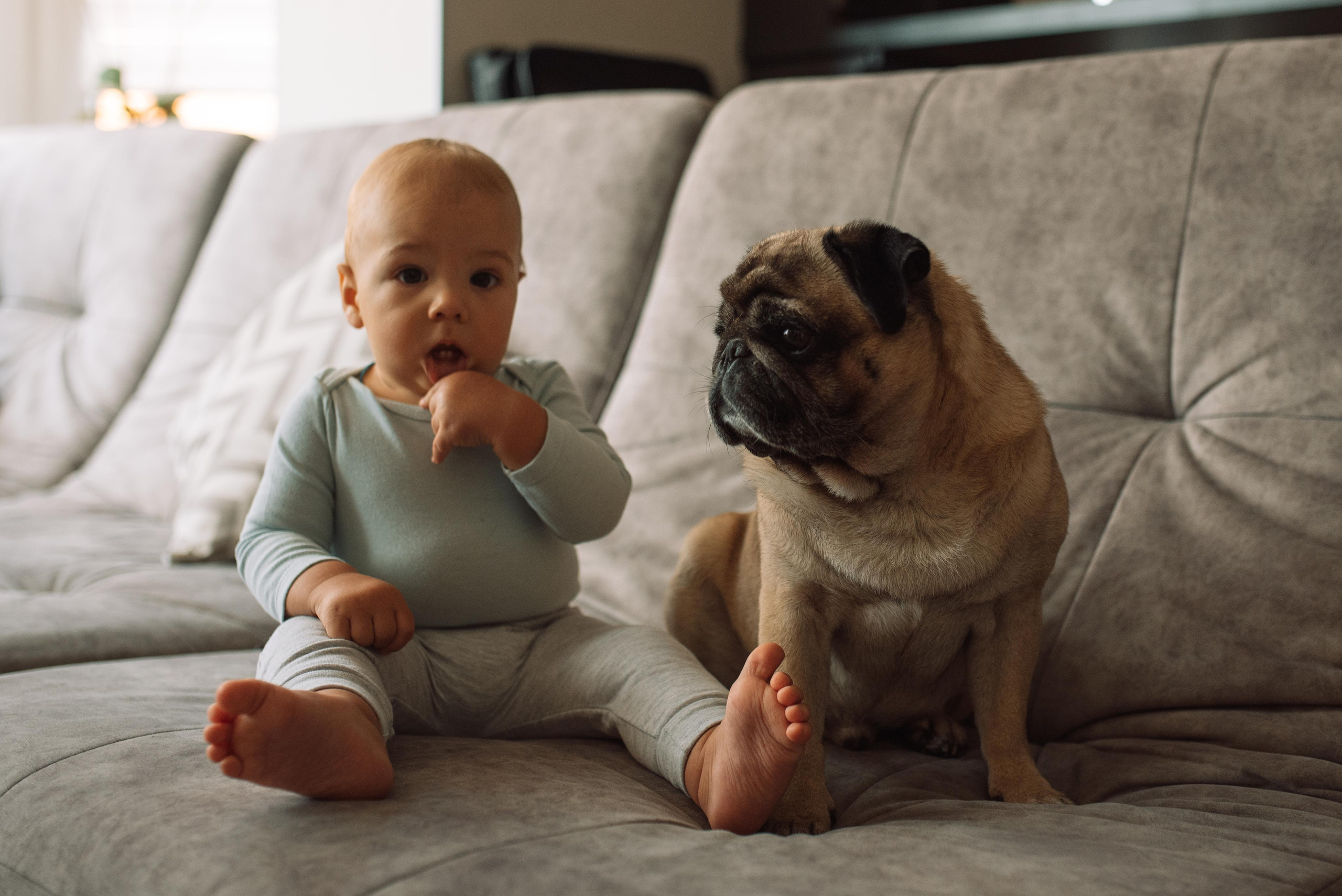 Олексій, Євгенія, Ярослав і Жорік. Тетяна Малишева - сімейний фотограф і відеограф у Валенсії, Іспанія