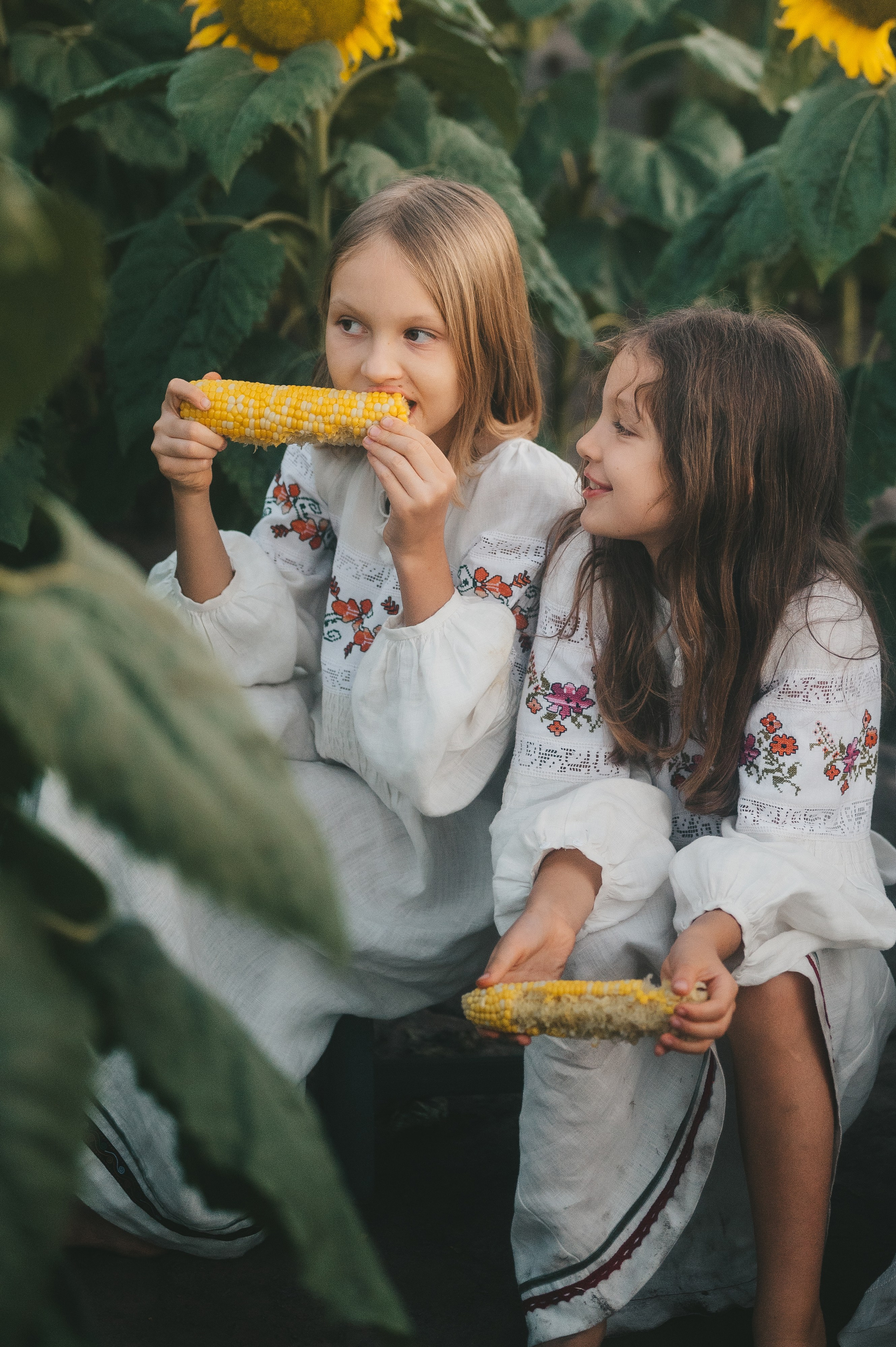 Sunflower field. Татьяна Малышева — семейный фотограф и видеограф в Валенсии, Испания