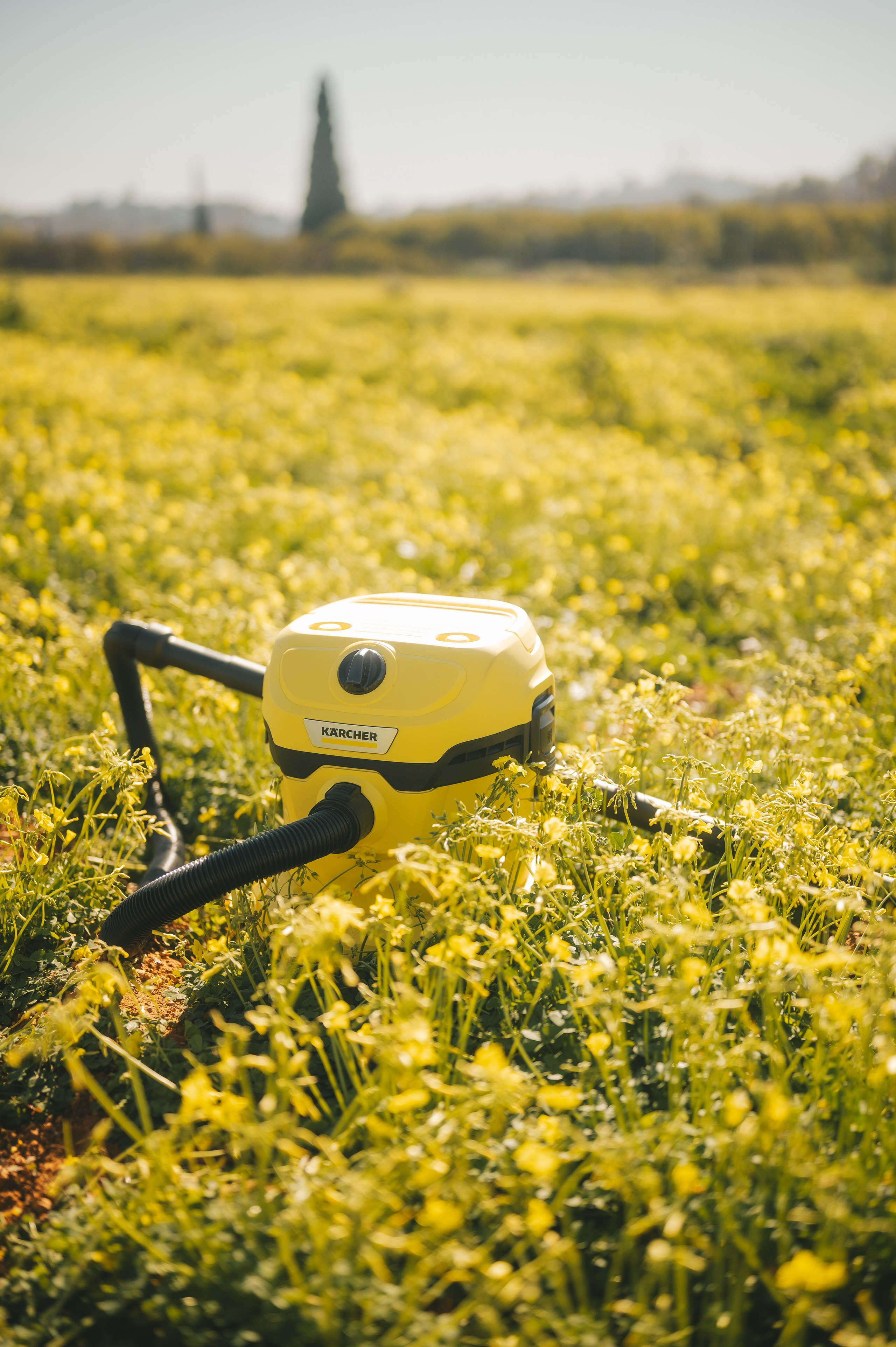 Sunshine Catcher. Tatiana Malysheva — lifestyle fotógrafa y videógrafa en Valencia, España