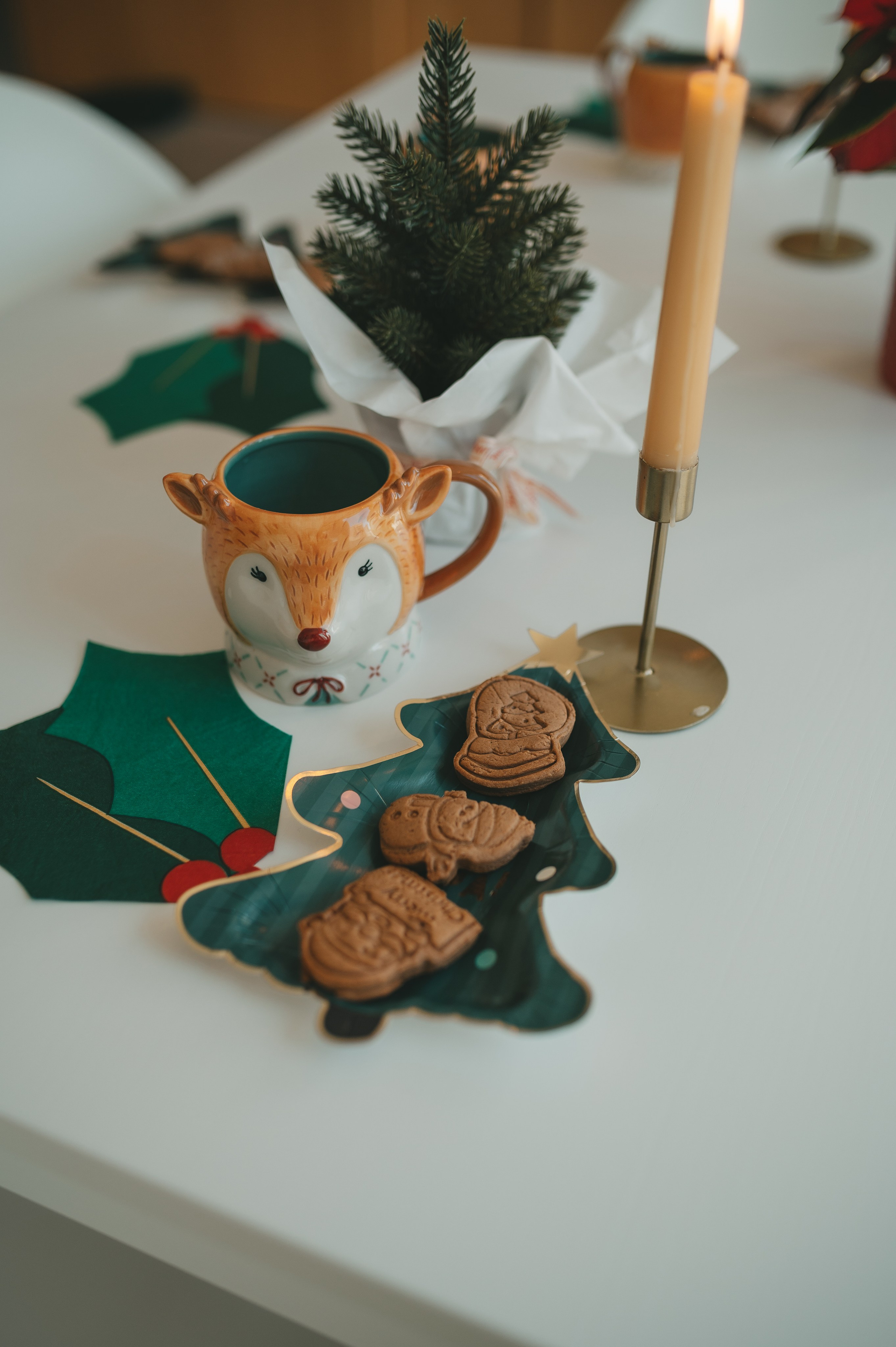 Christmas time. Тетяна Малишева - сімейний фотограф і відеограф у Валенсії, Іспанія