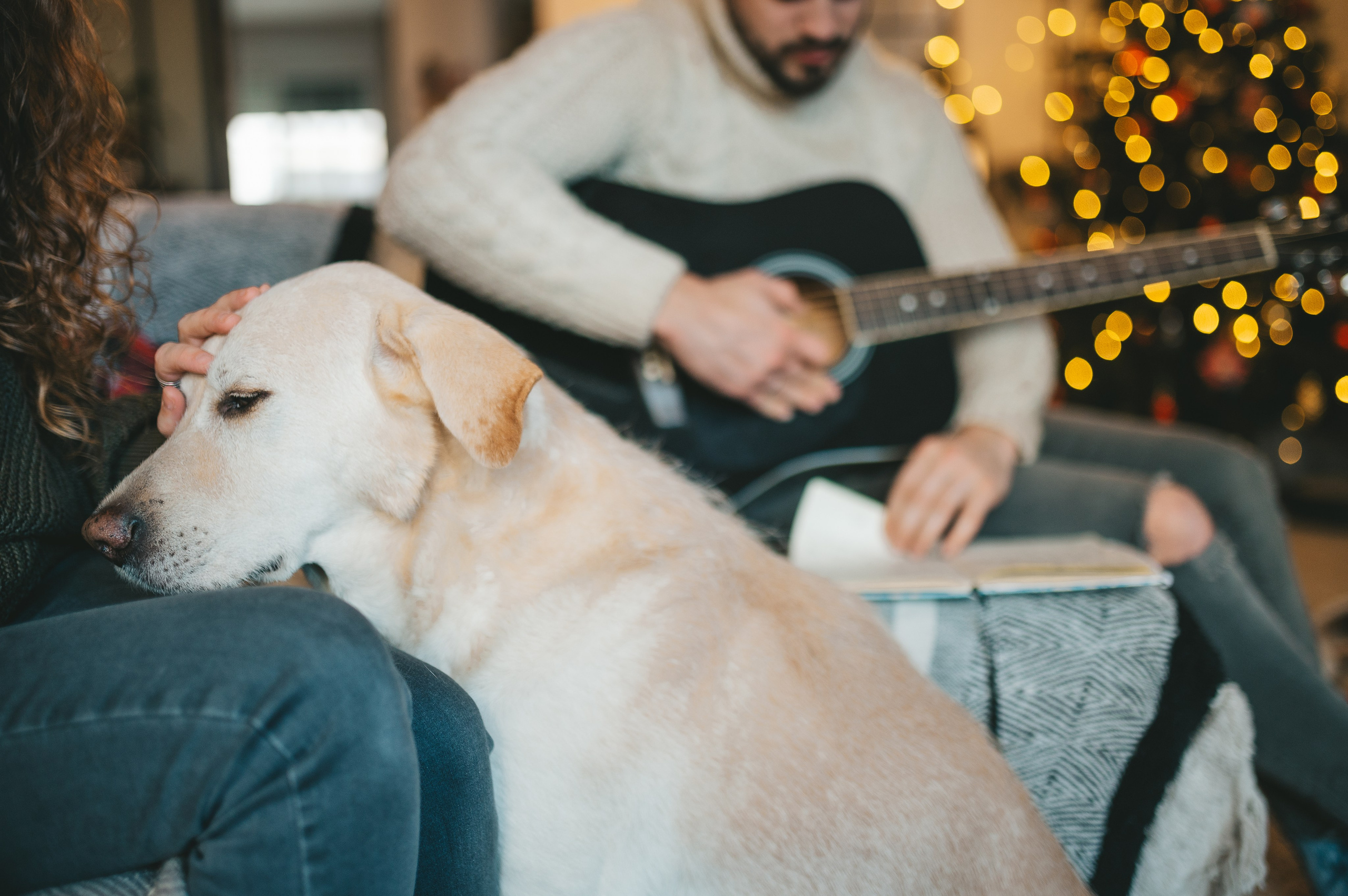 Adrián, Ruth, Natura & Ares. Тетяна Малишева - сімейний фотограф і відеограф у Валенсії, Іспанія