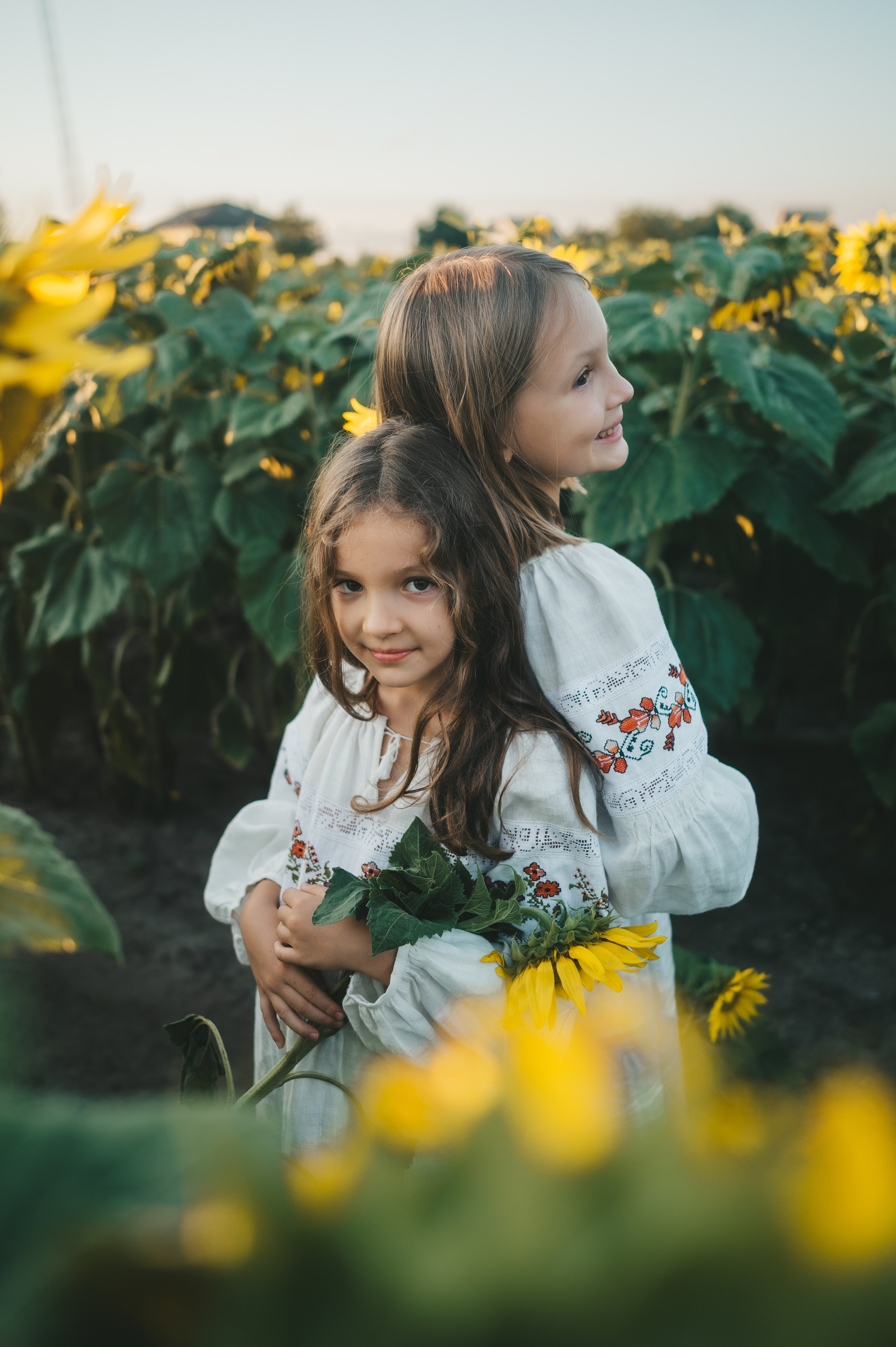 Sunflower field. Татьяна Малышева — семейный фотограф и видеограф в Валенсии, Испания