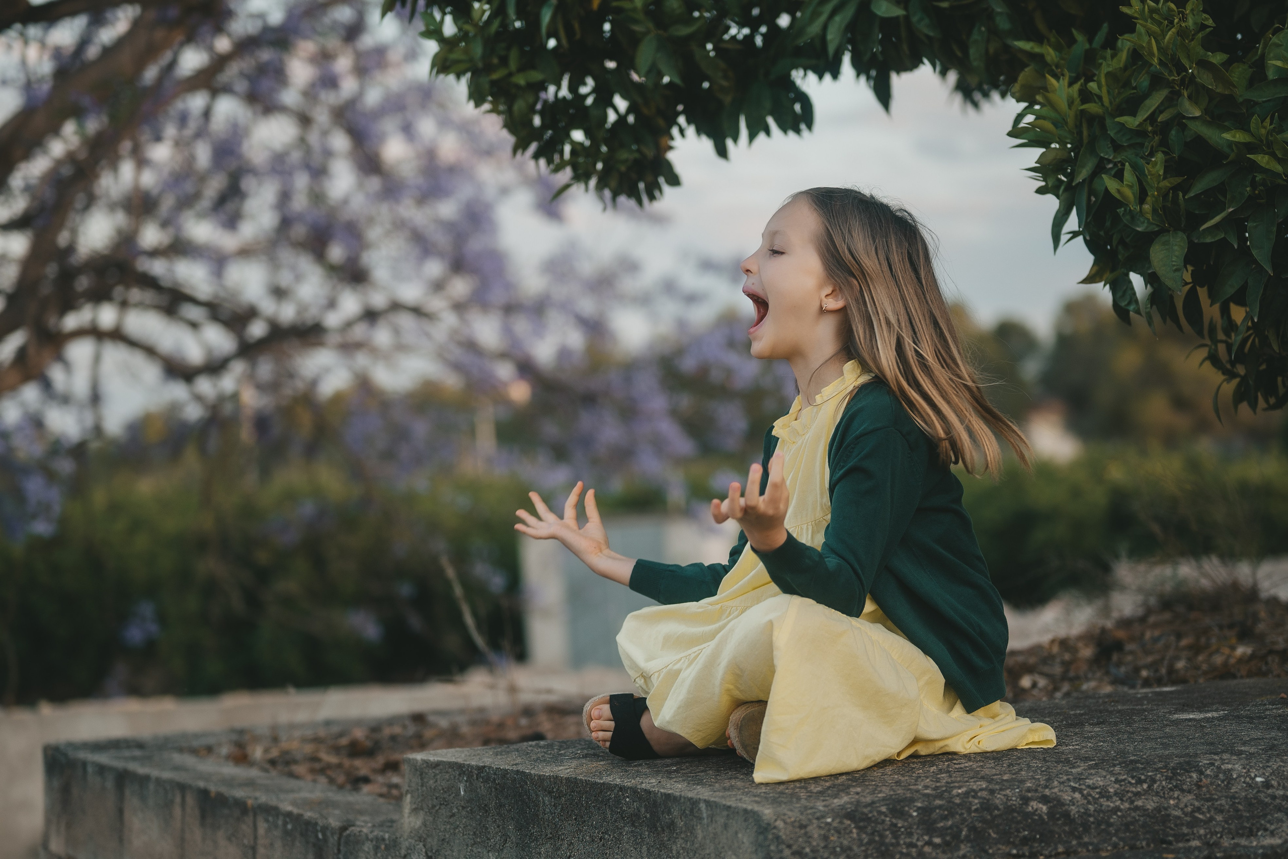 Jacaranda flowers. Tatiana Malysheva — family photographer and videographer in Valencia, Spain