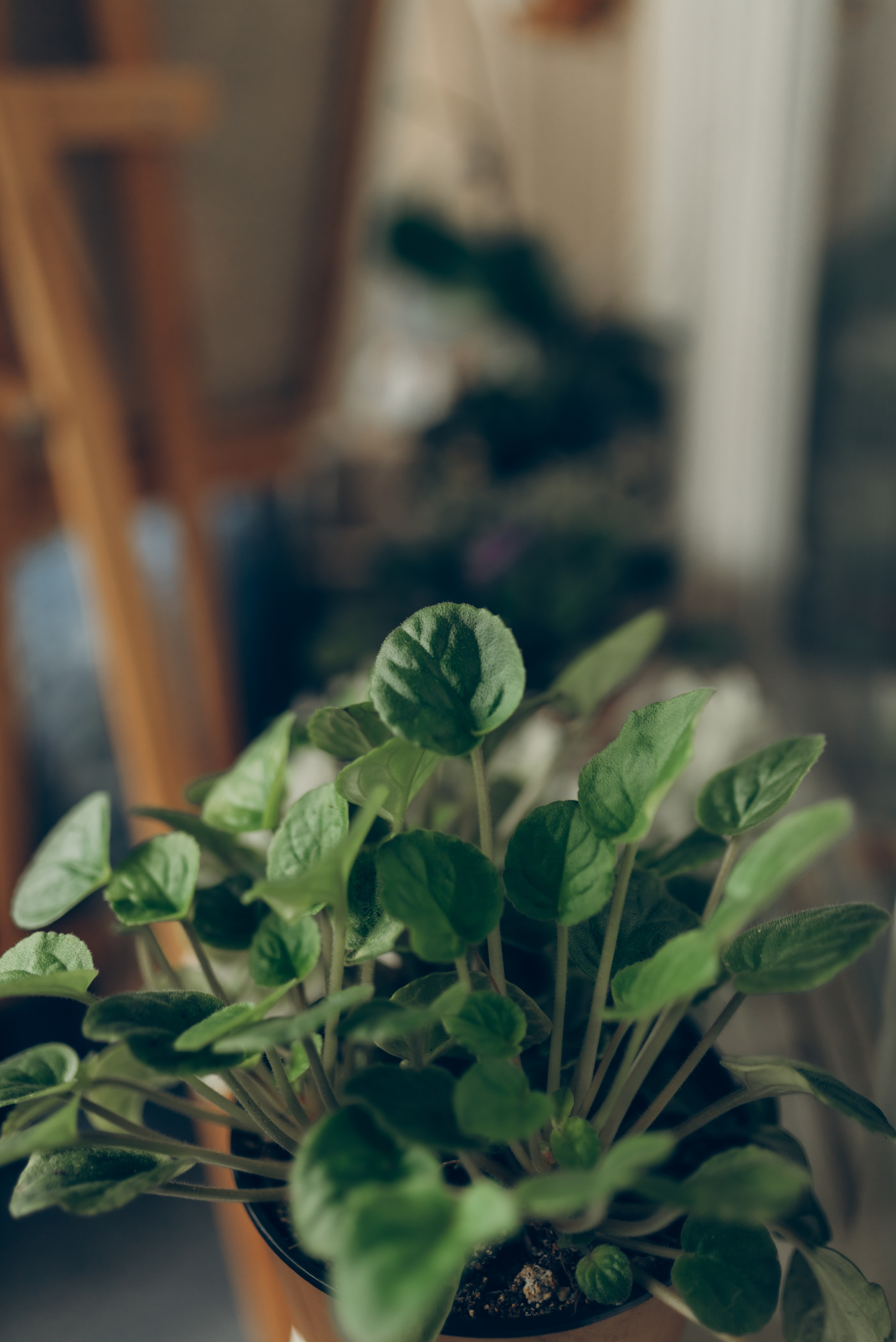 Oleksandr & Olena. Татьяна Малышева — семейный фотограф и видеограф в Валенсии, Испания