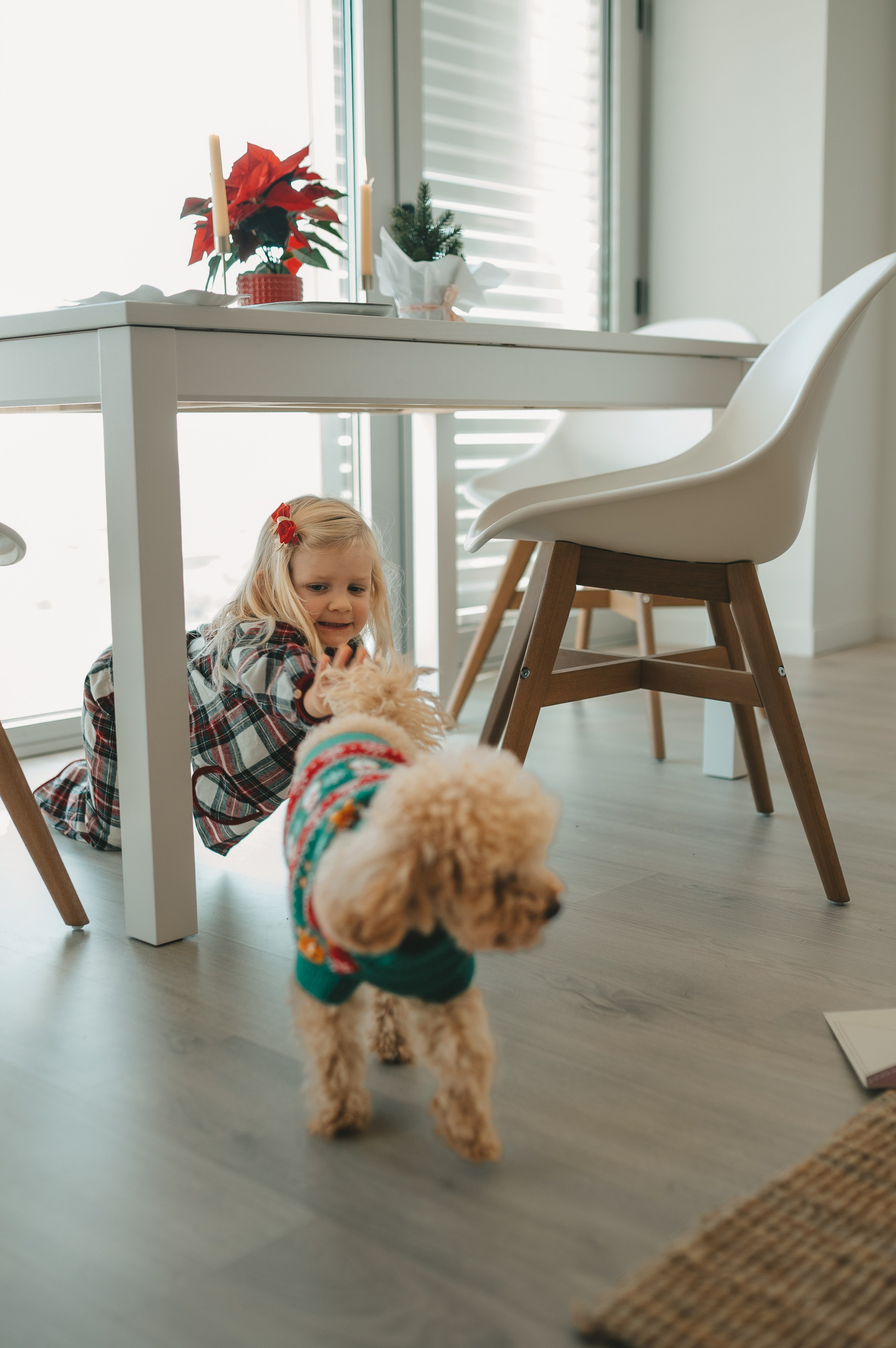 Christmas time. Тетяна Малишева - сімейний фотограф і відеограф у Валенсії, Іспанія