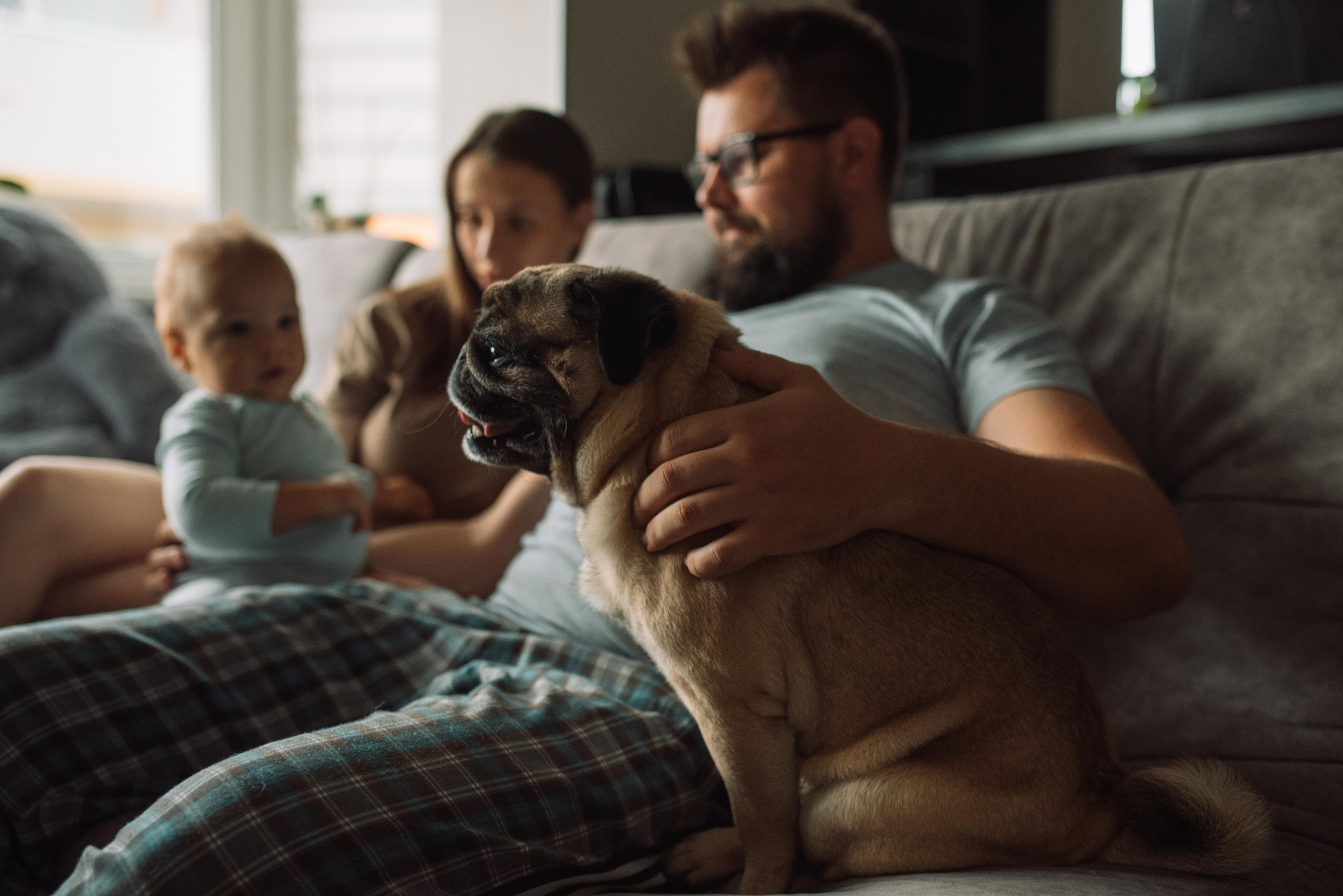 Фотосъемка дома. Татьяна Малышева — семейный фотограф и видеограф в Валенсии, Испания