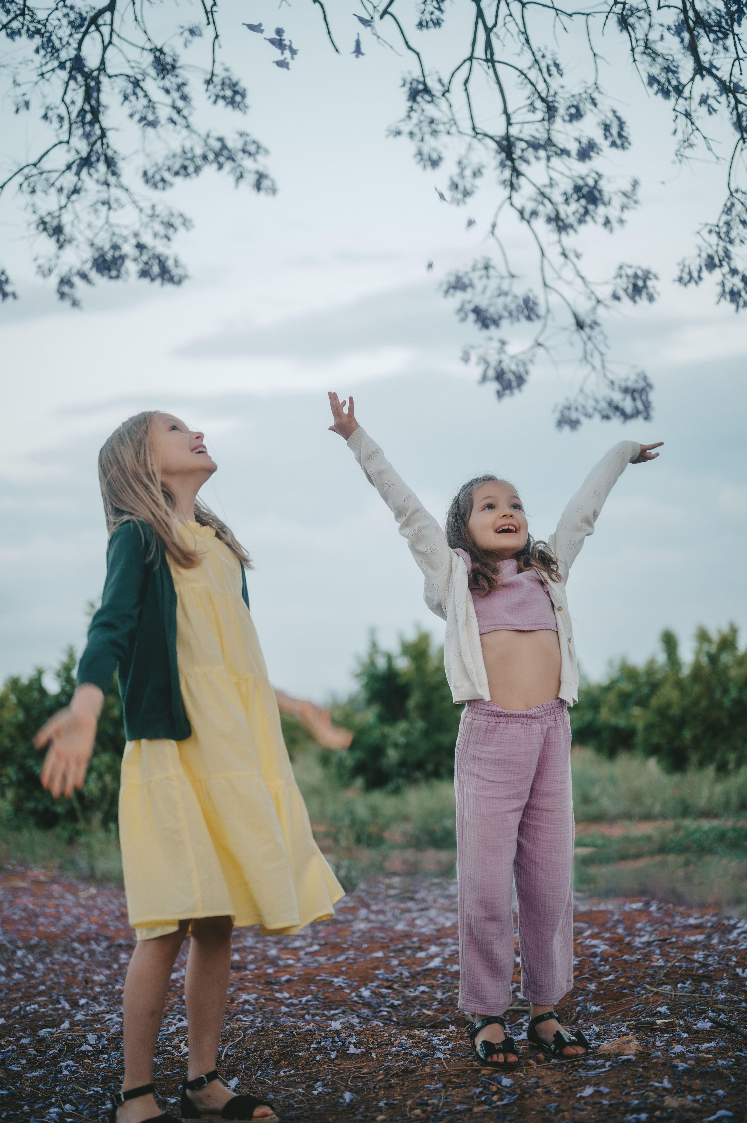 Jacaranda flowers. Tatiana Malysheva — family photographer and videographer in Valencia, Spain