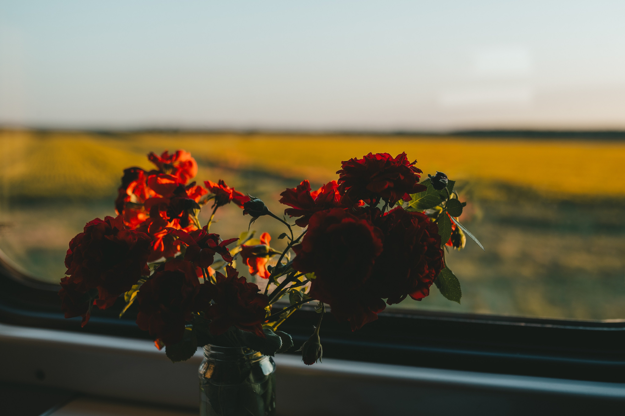 The perfect journey. Тетяна Малишева - сімейний фотограф і відеограф у Валенсії, Іспанія