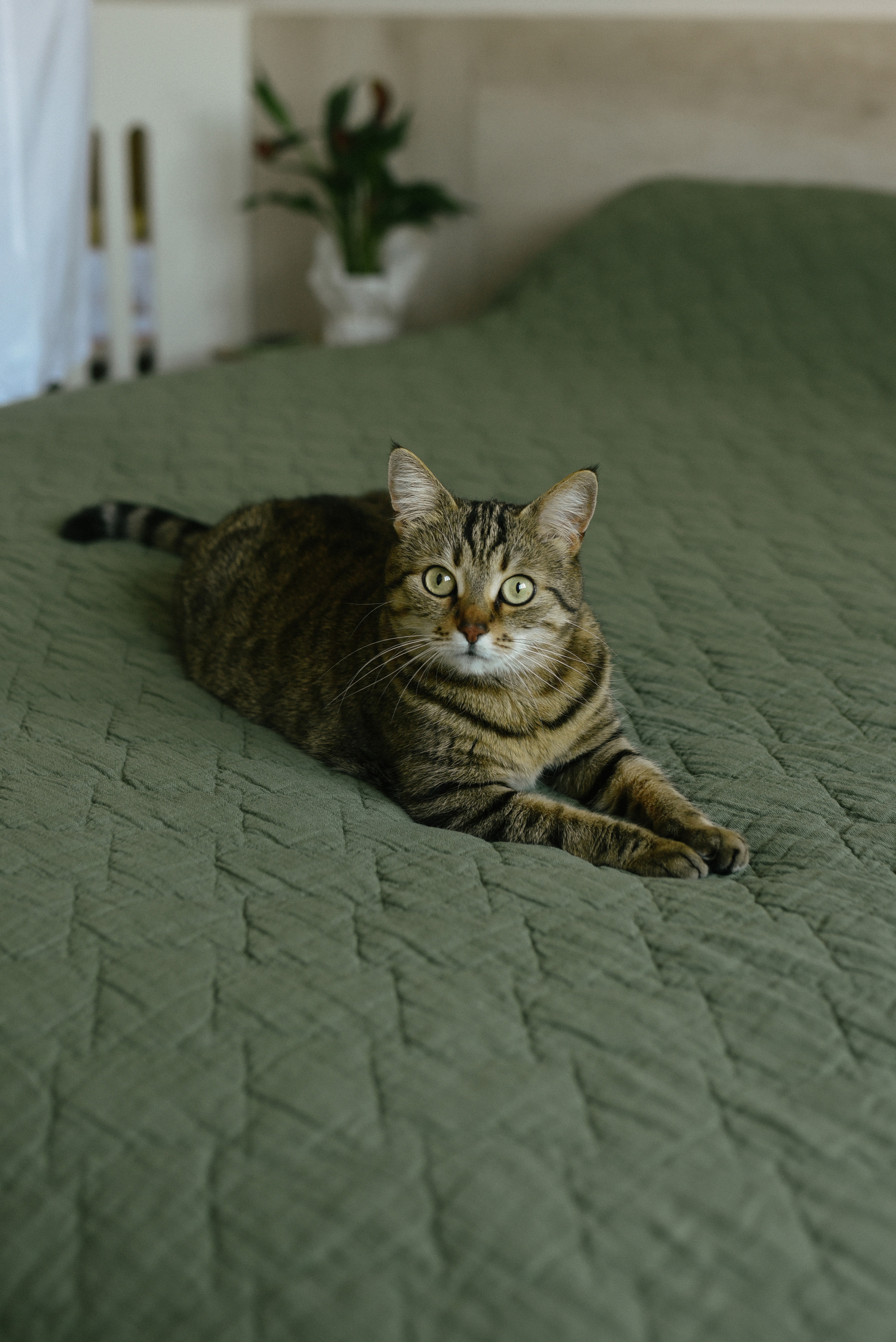 Yevgen, Tetiana, Nikita & Ivanna. Татьяна Малышева — семейный фотограф и видеограф в Валенсии, Испания