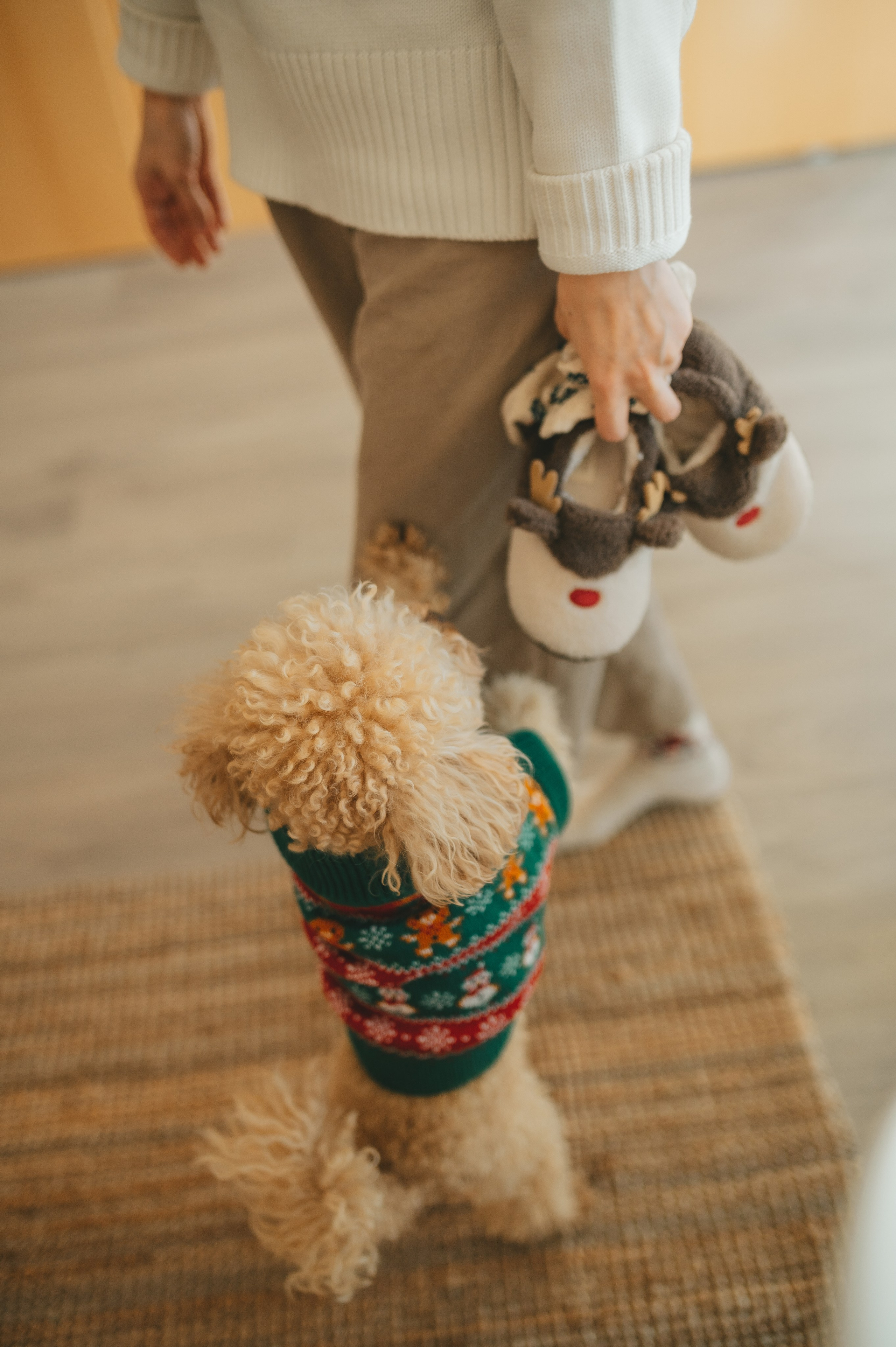 Christmas time. Тетяна Малишева - сімейний фотограф і відеограф у Валенсії, Іспанія