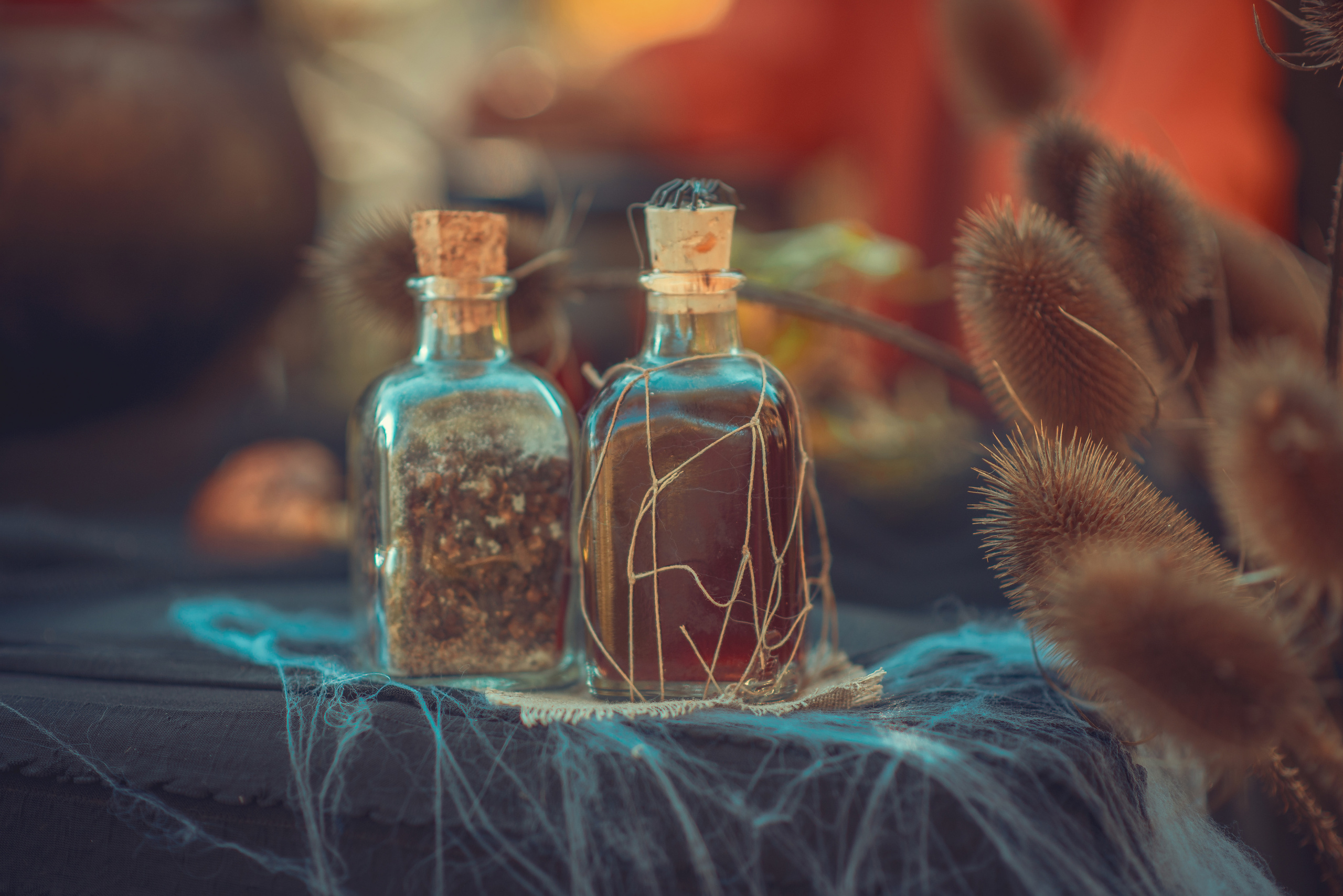 Little Witches. Tatiana Malysheva — family photographer and videographer in Valencia, Spain